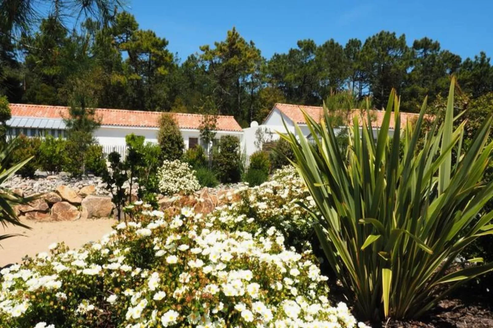 Villa Br&eacute;sil - Domaine Le Sherwood-Buitenkant zomer