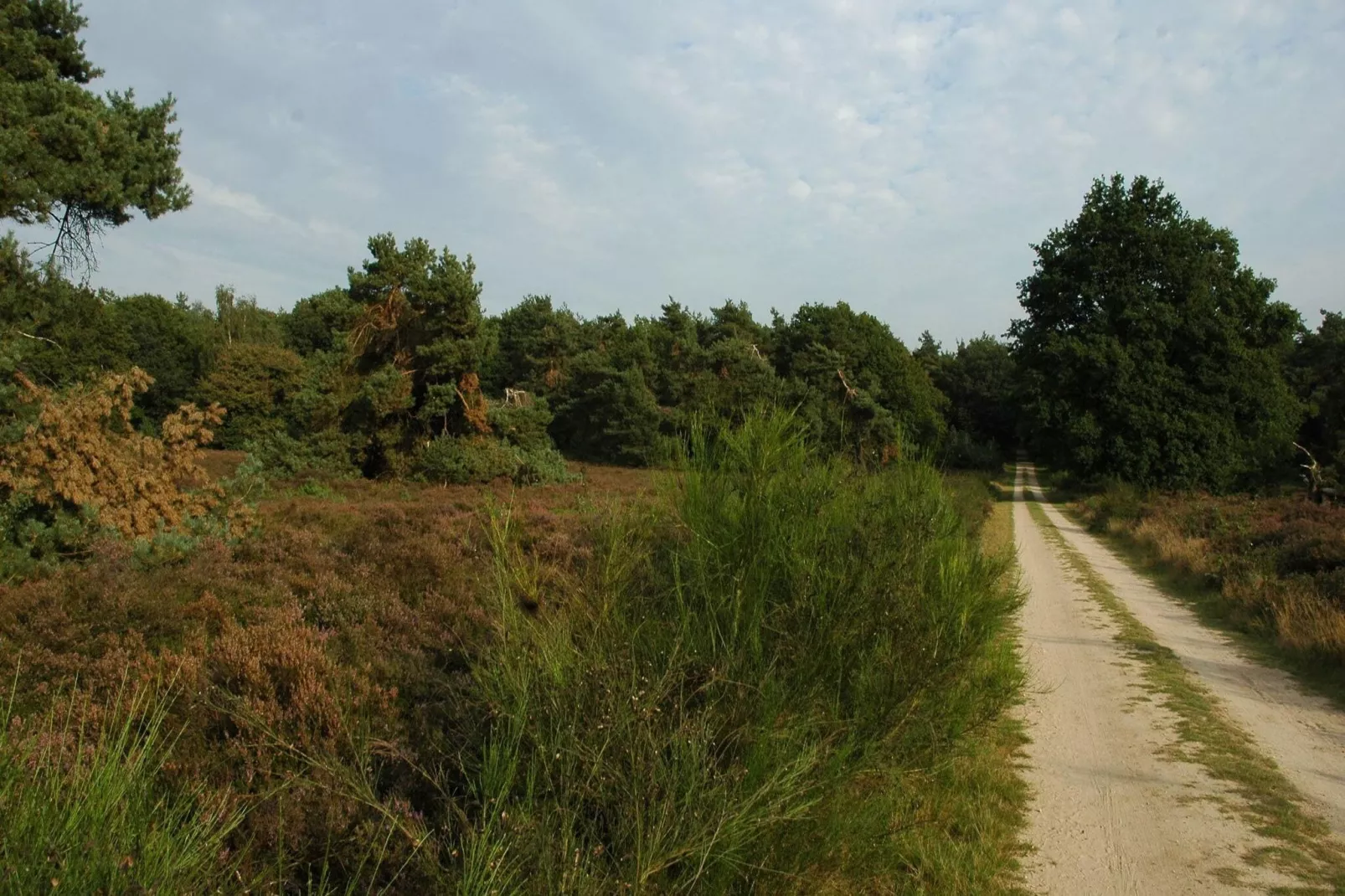 Genieten in Voorthuizen-Gebieden zomer 20km