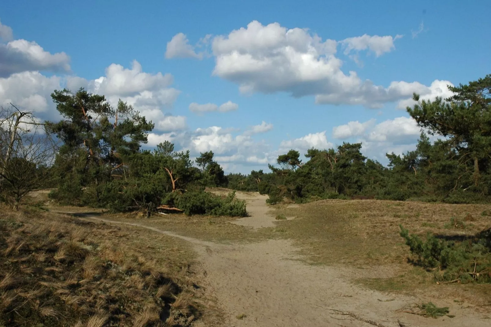 Genieten in Voorthuizen-Gebieden zomer 20km