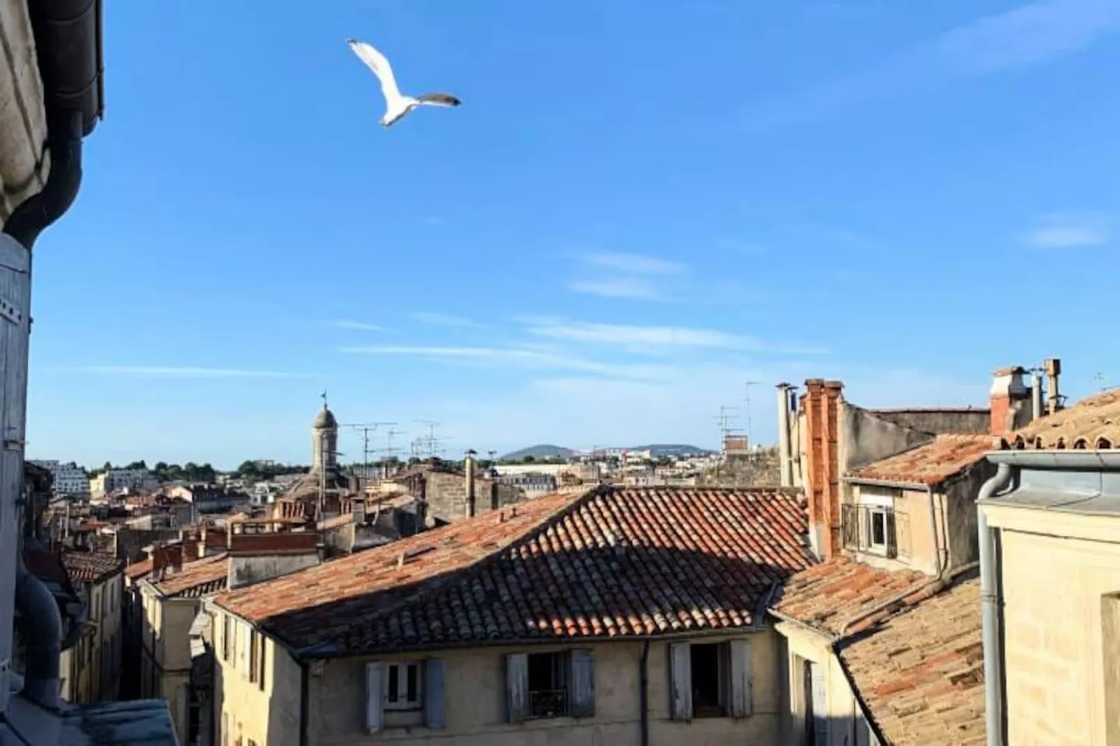 Les Toits De L'argenterie - Image-tags.