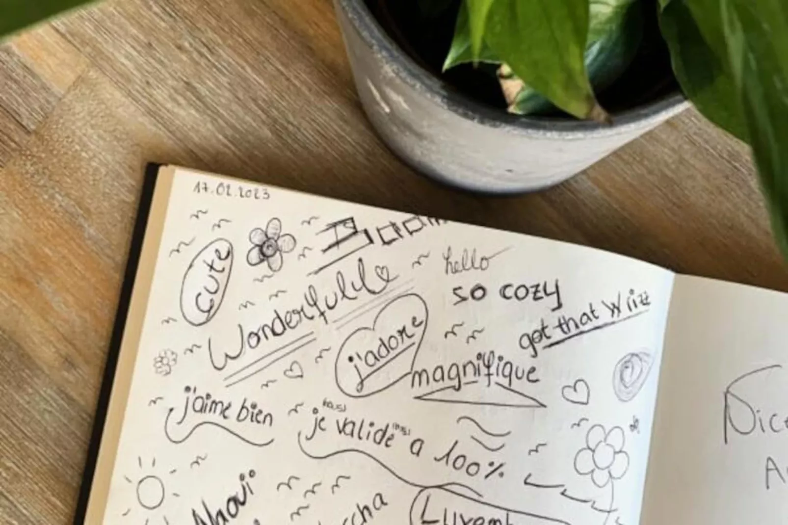 Les Toits De Sainte Ursule-Image-tags.