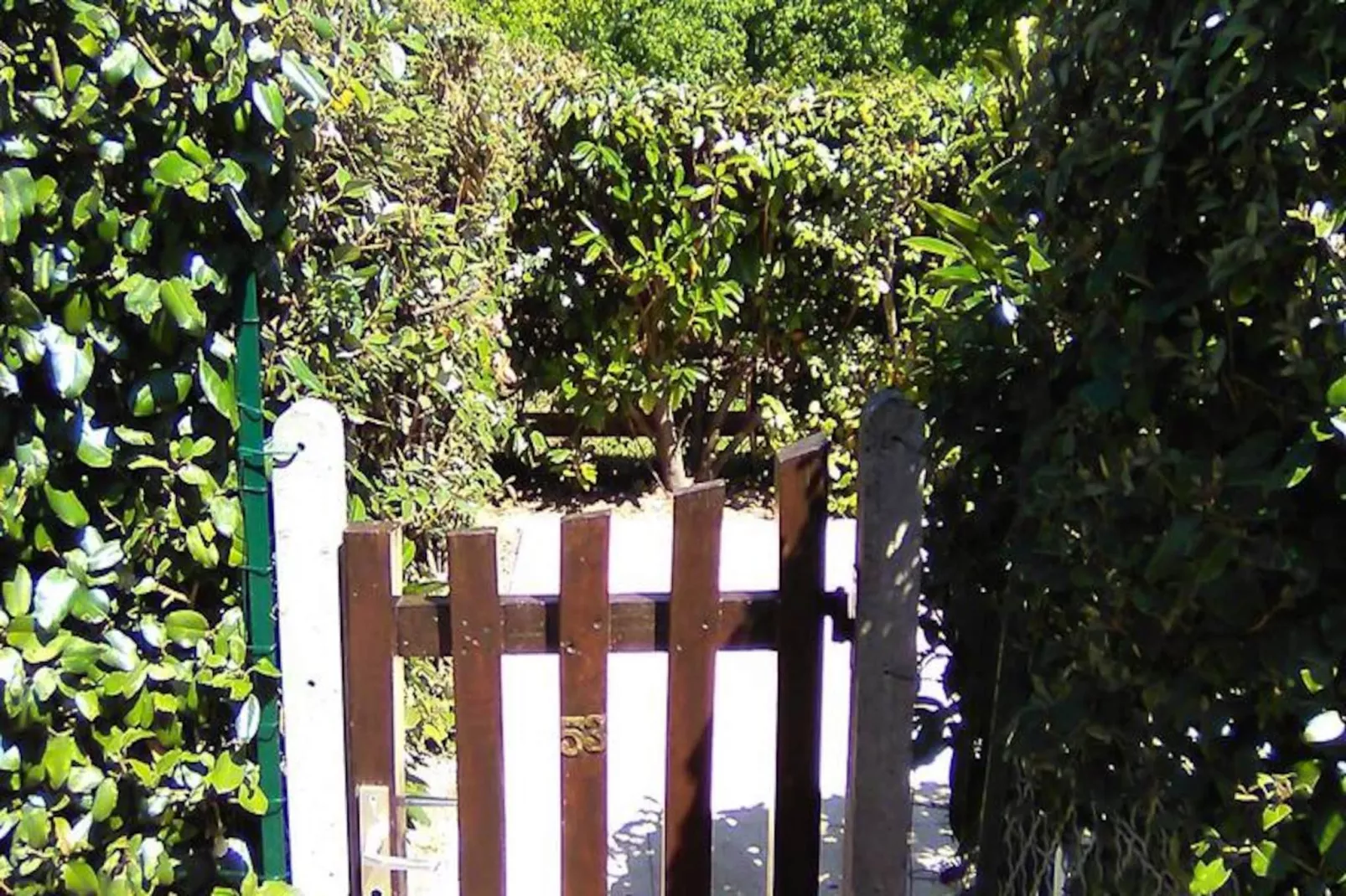 Résidence Paradise Ocean-Image-tags.