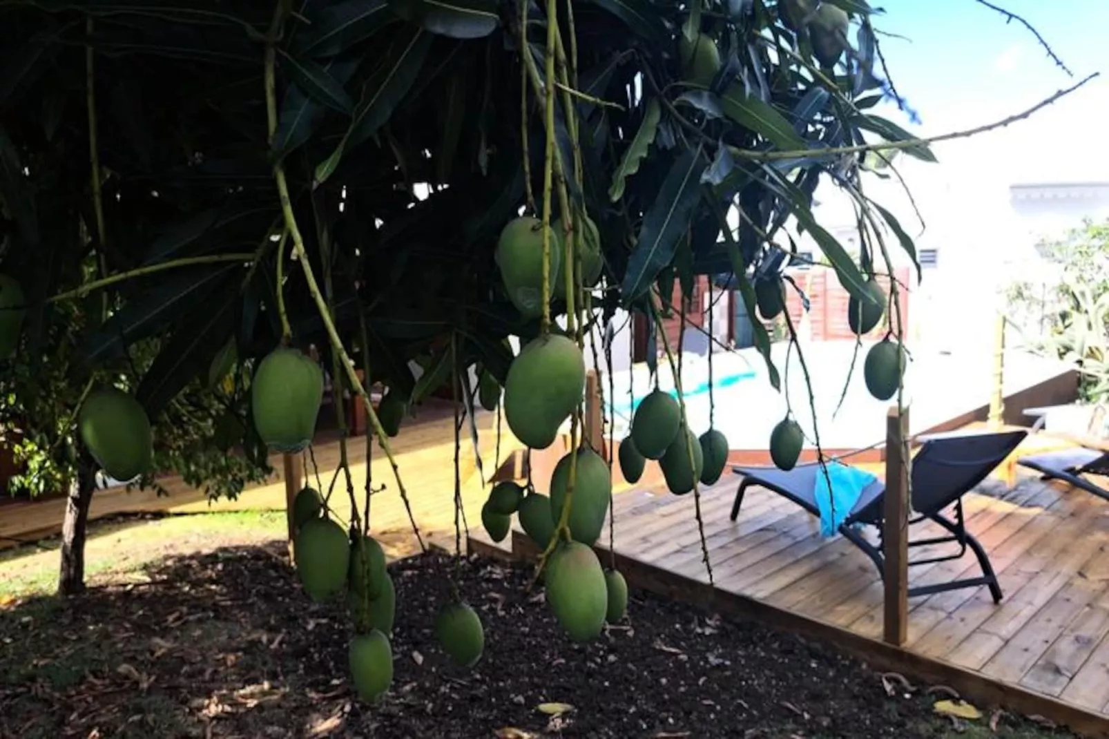 Villa La Plumeria-Image-tags.