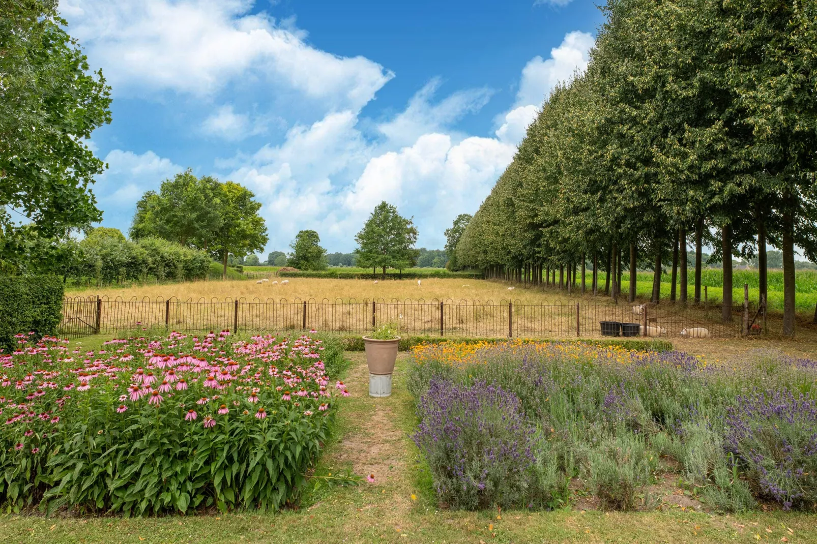 Koetshuis 't Geyn-Landgoed Noordenhoek-Uitzicht zomer