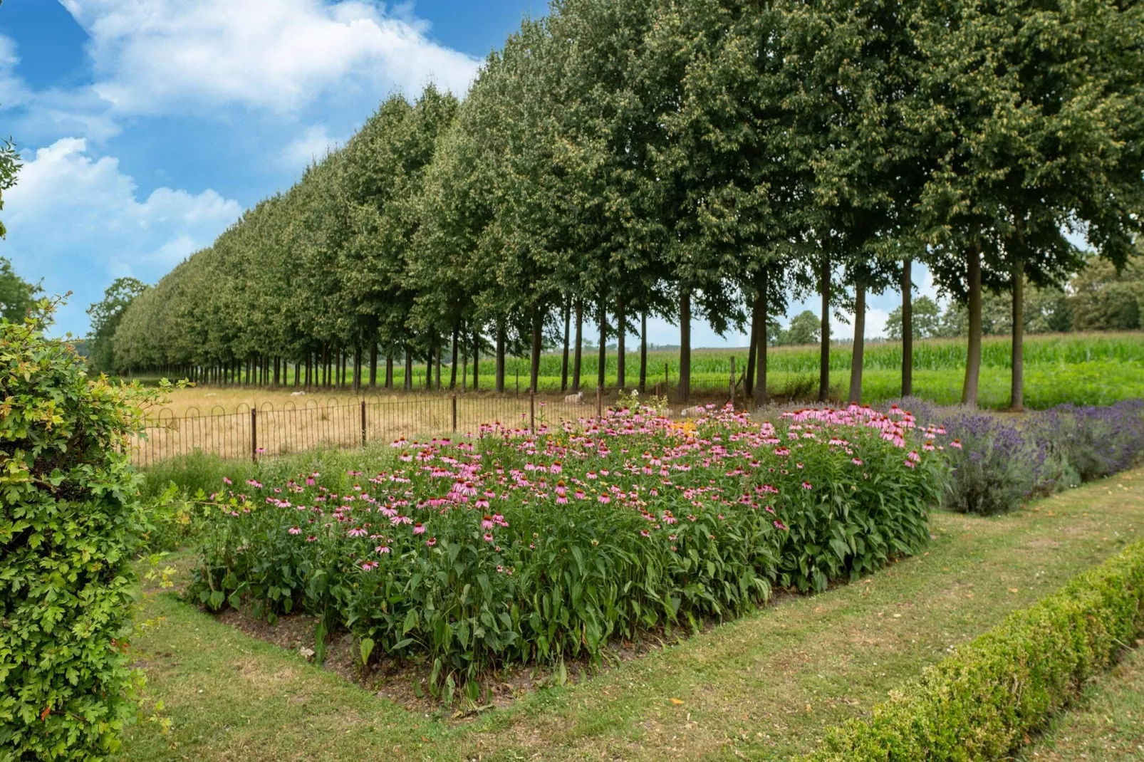 Koetshuis 't Geyn-Landgoed Noordenhoek-Gebieden zomer 1km