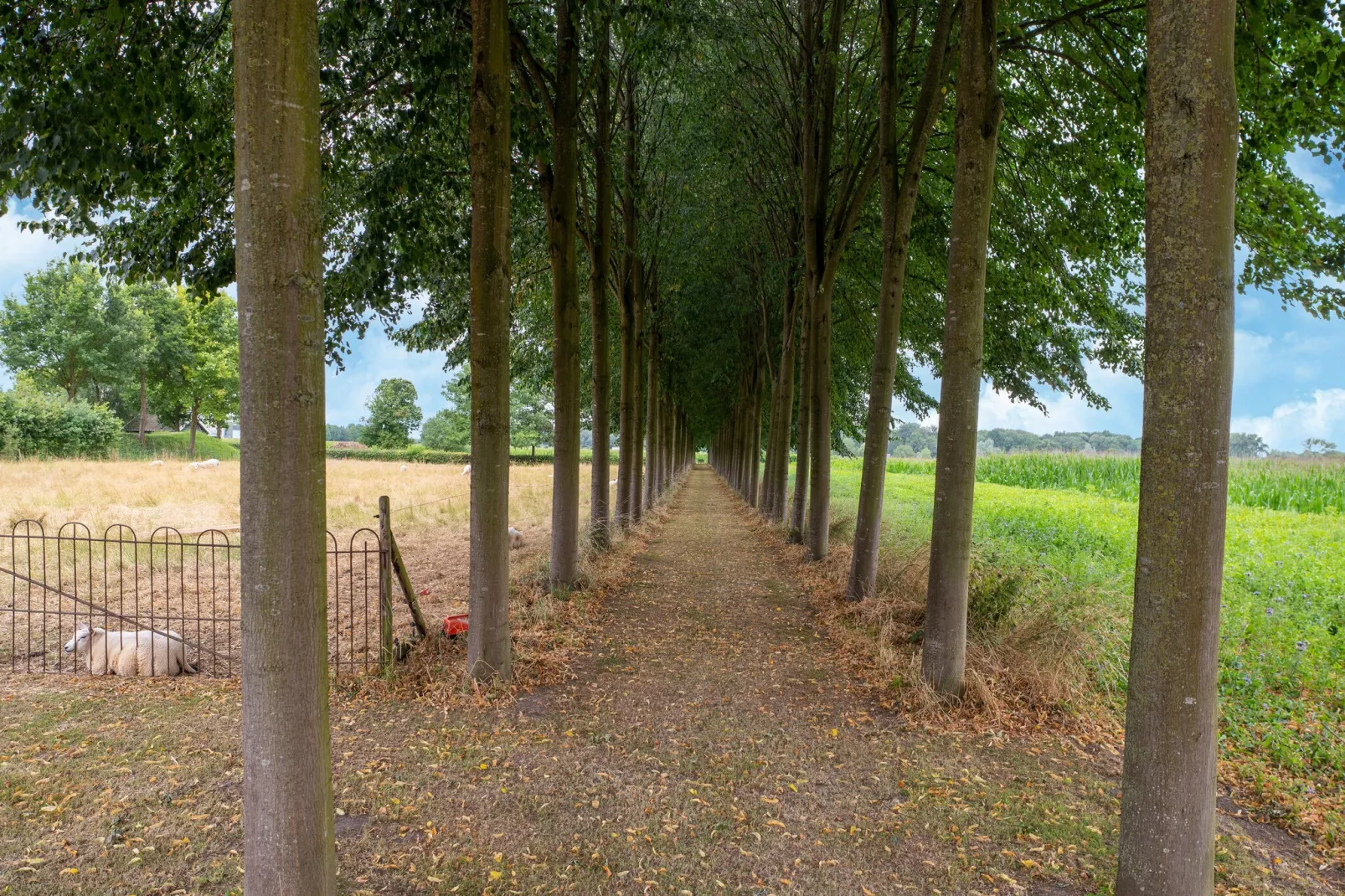 Koetshuis 't Geyn-Landgoed Noordenhoek-Gebieden zomer 1km