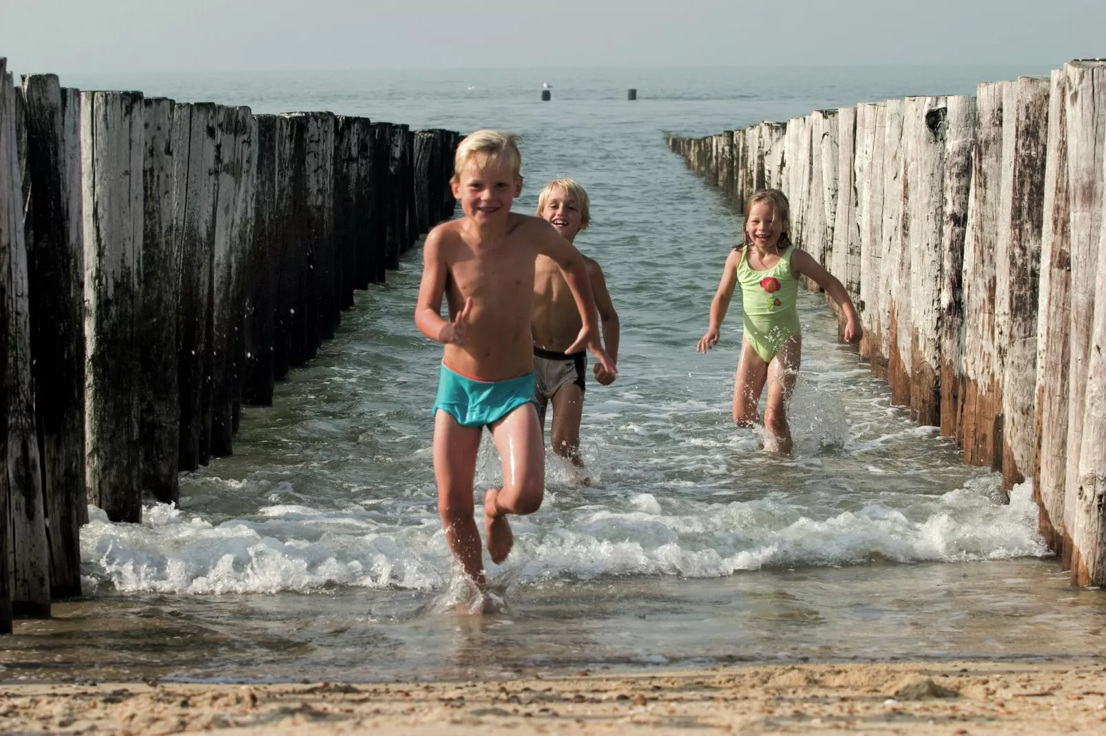 Vakantiepark Hof Domburg 11-Gebieden zomer 1km