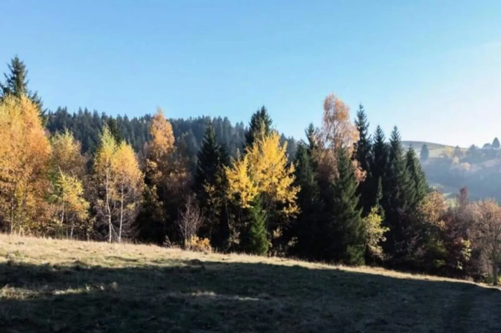 Appartement Familial Au Pied Des Pistes-Image-tags.