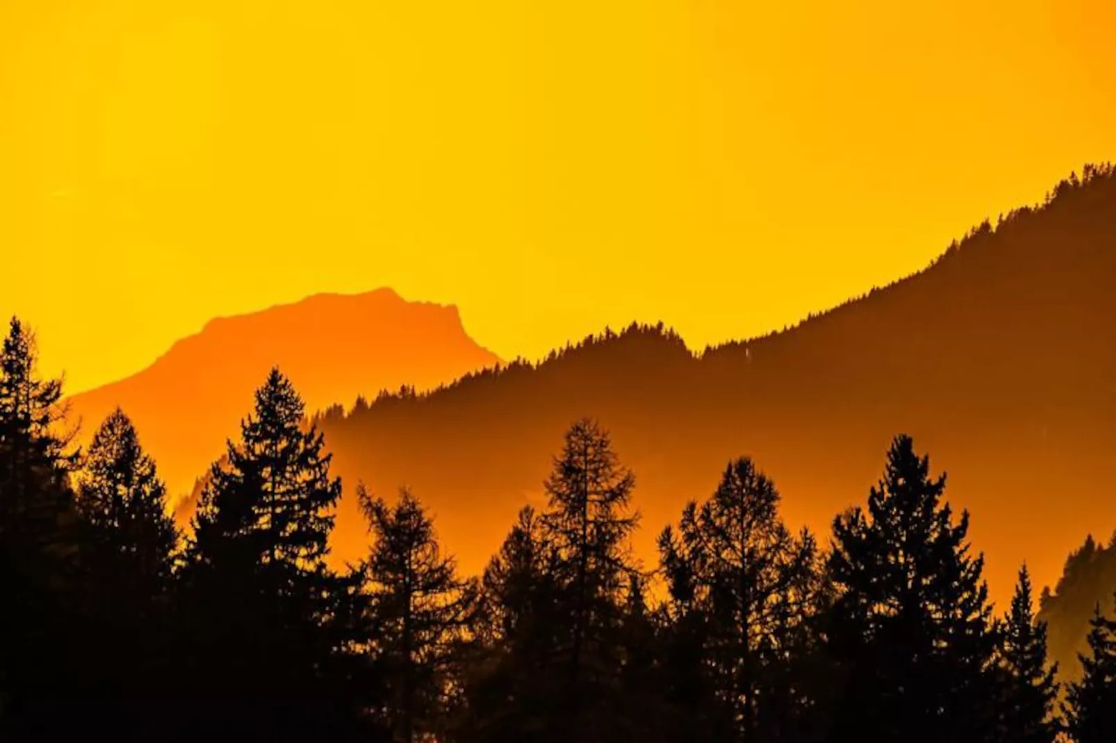 Chalet Le Prairial-Image-tags.