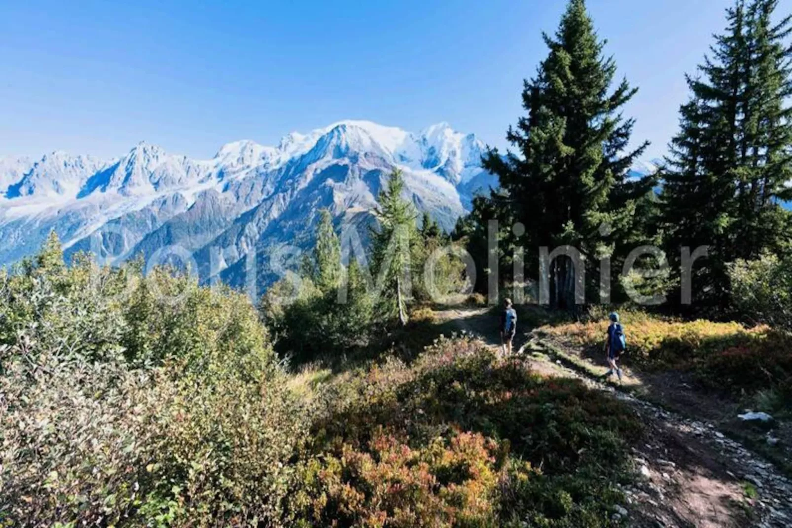 Résidence Les Fermes De Saint Gervais-Image-tags.