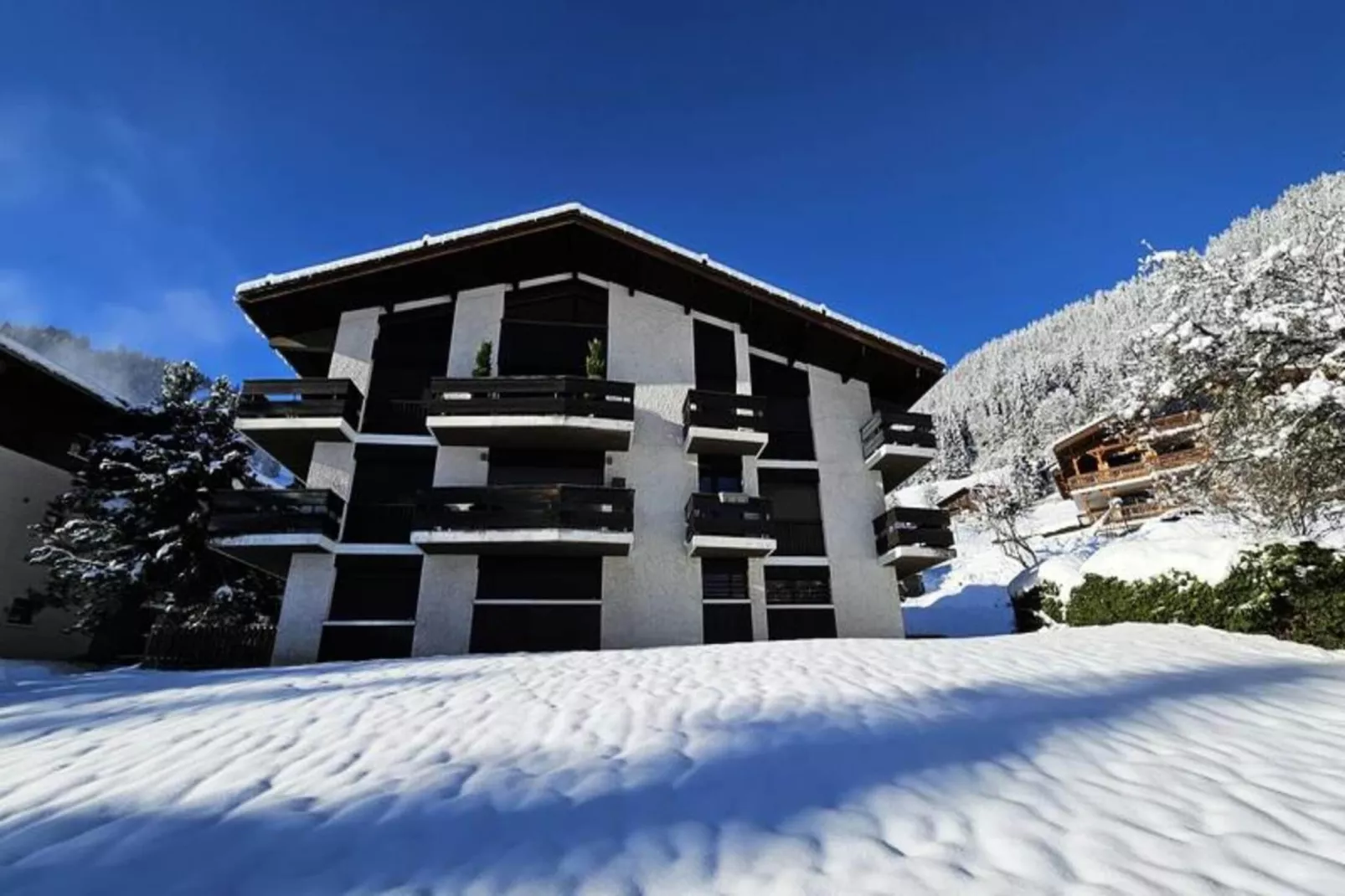 Résidence Sapaudia-Buitenkant zomer