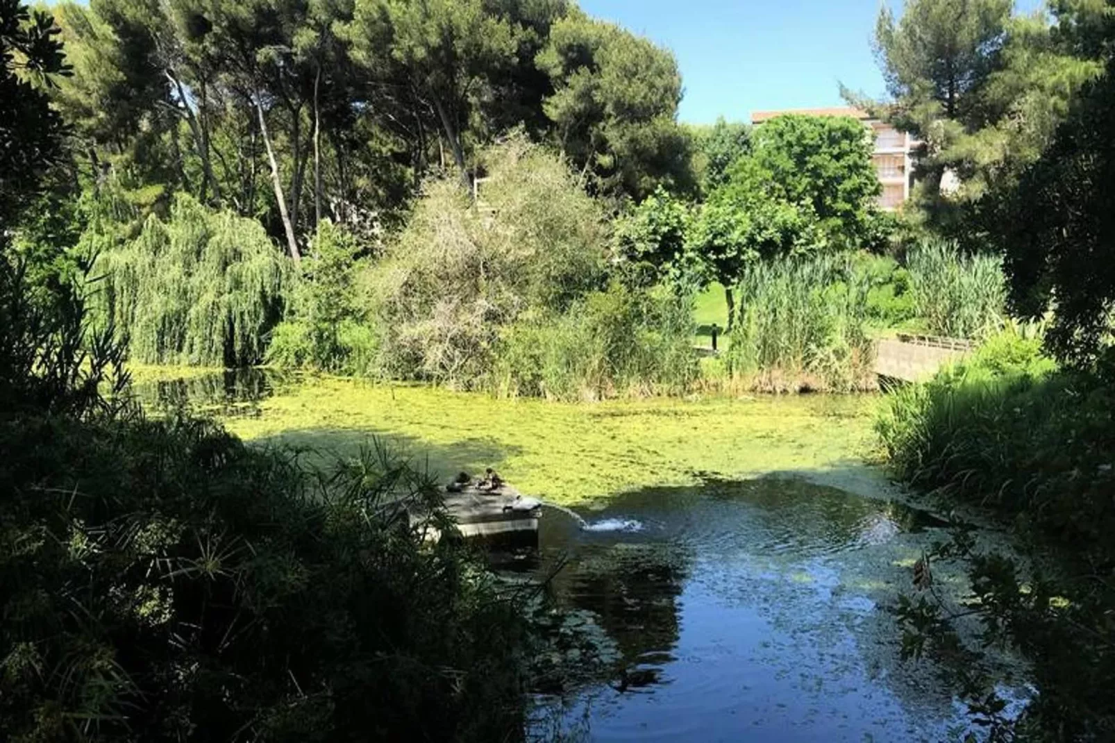 Résidence Alisier-Gebieden zomer 5km