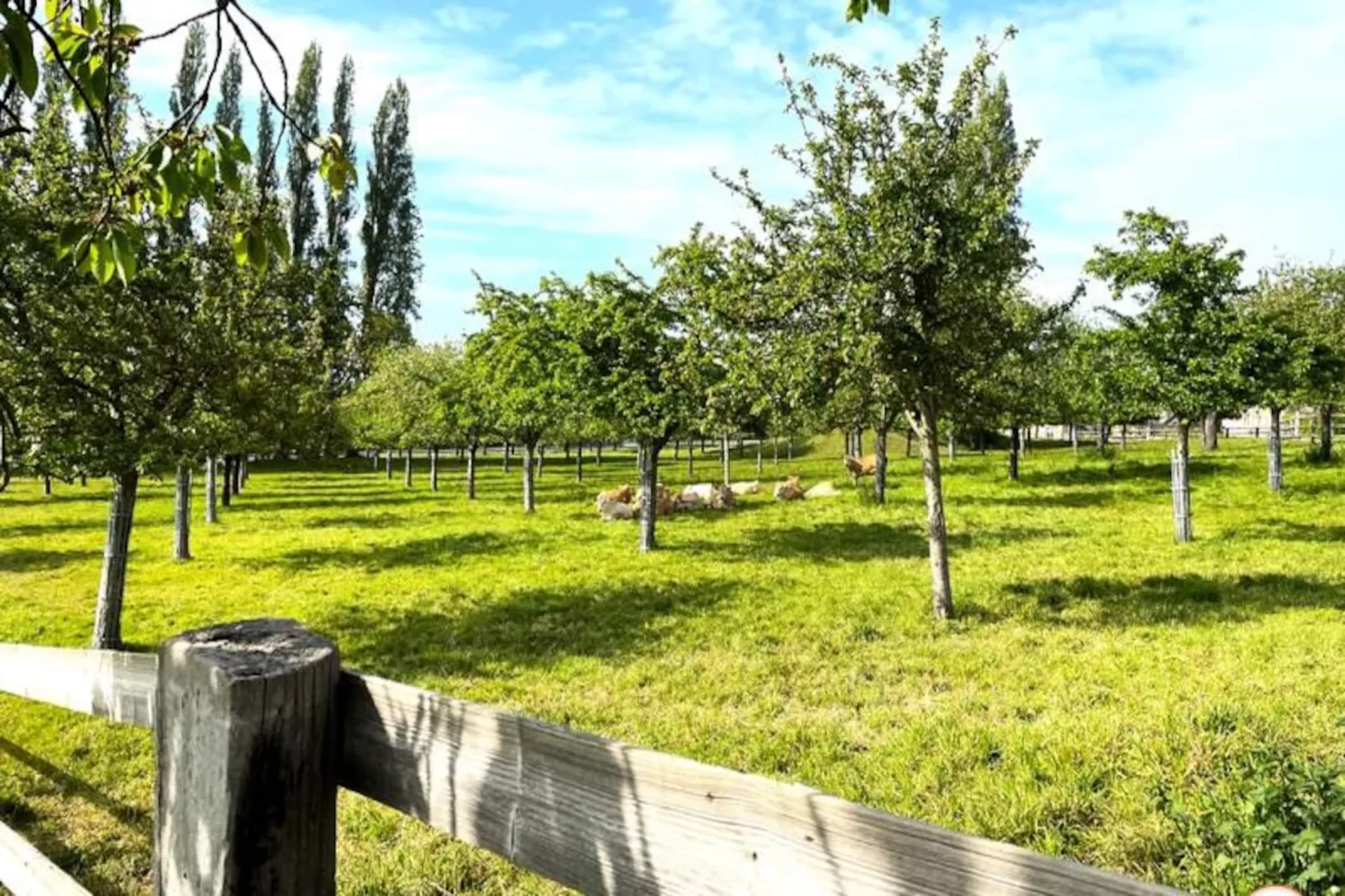 🐦 La Hulotte - Domaine D'apreval - Campagne-Image-tags.
