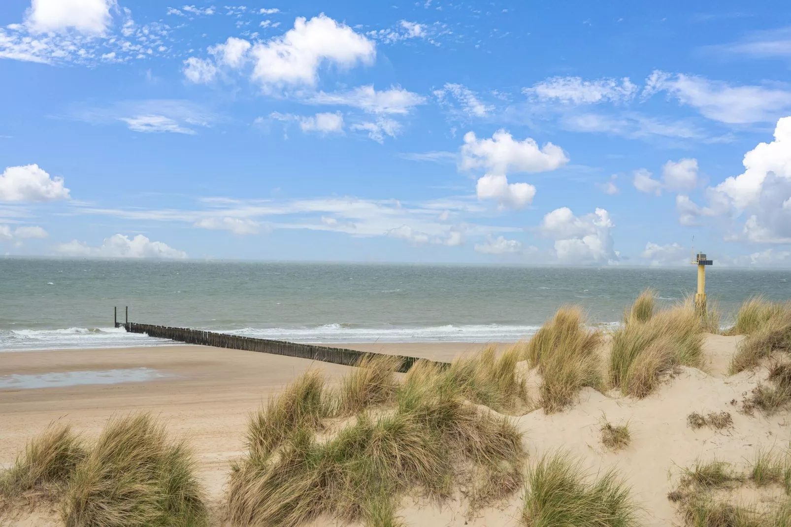 Stormvogel 1-Gebieden zomer 5km
