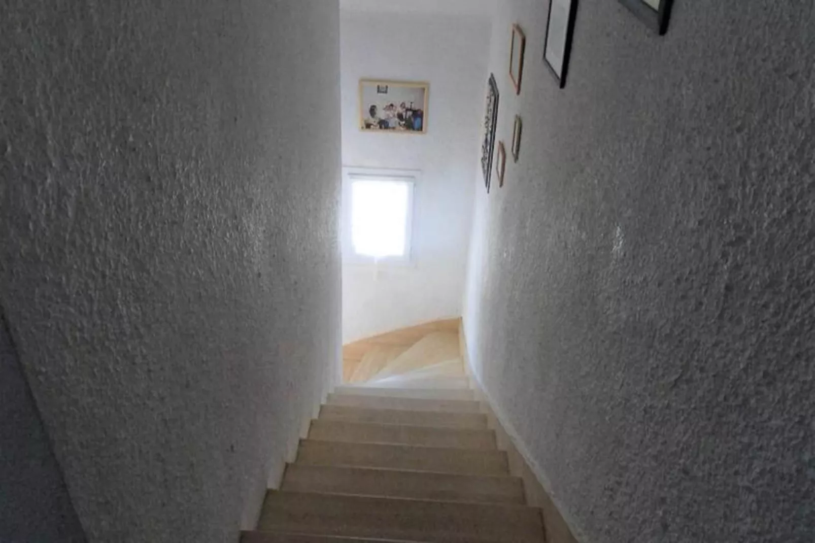 Résidence Alis-ploemeur-Image-tags.