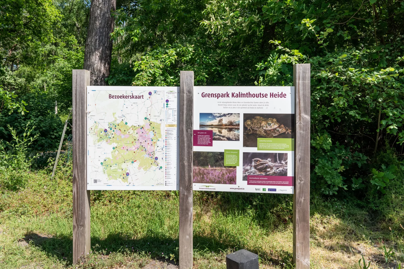 Het Haasje-Gebieden zomer 5km