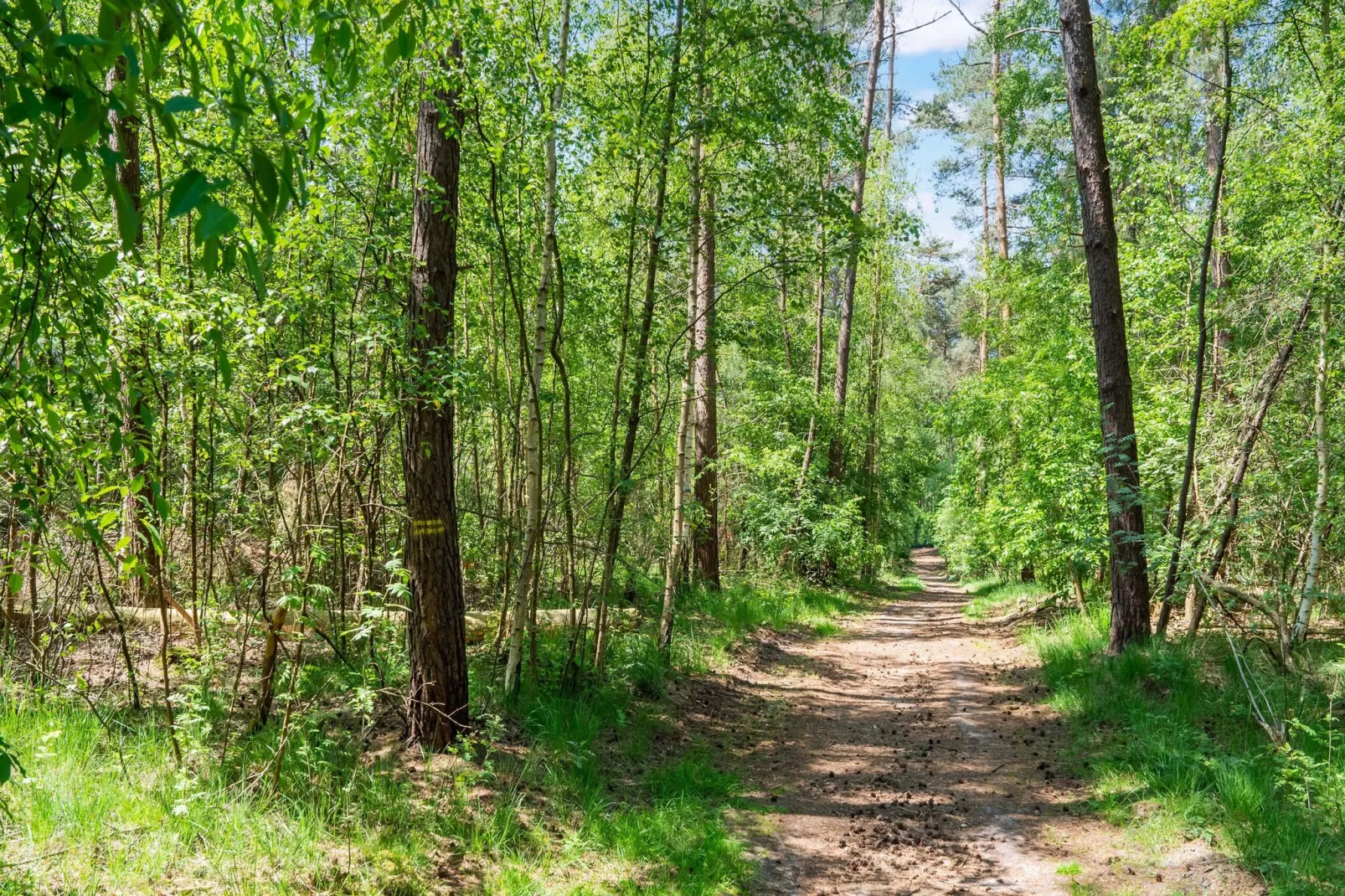 Het Haasje-Gebieden zomer 20km