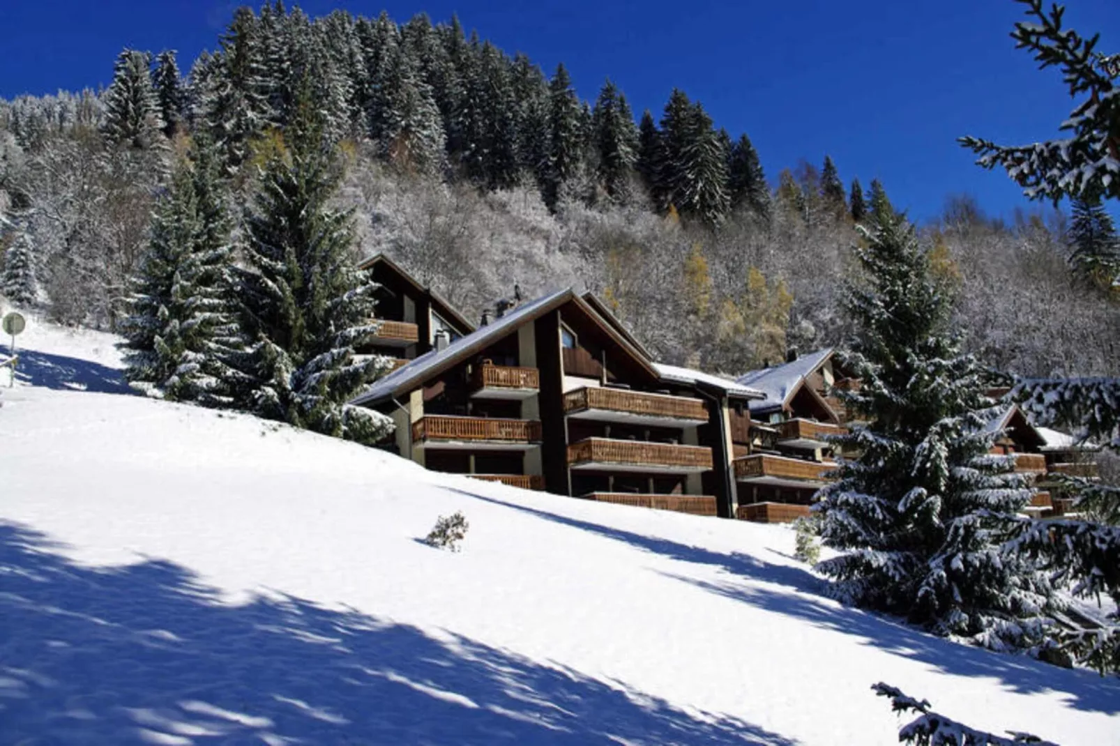 Résidence Dryades - Les Hauts De Planchamp-Exterieur winter