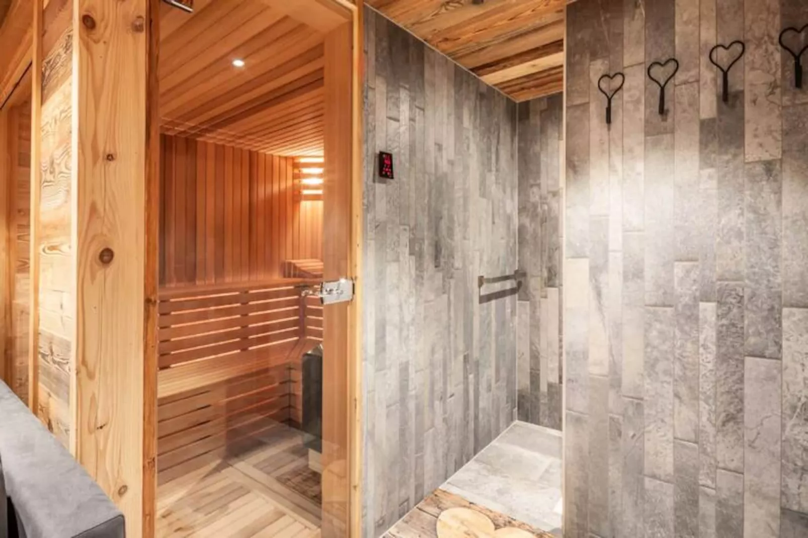 Résidence Le Nordic-morzine-Image-tags.