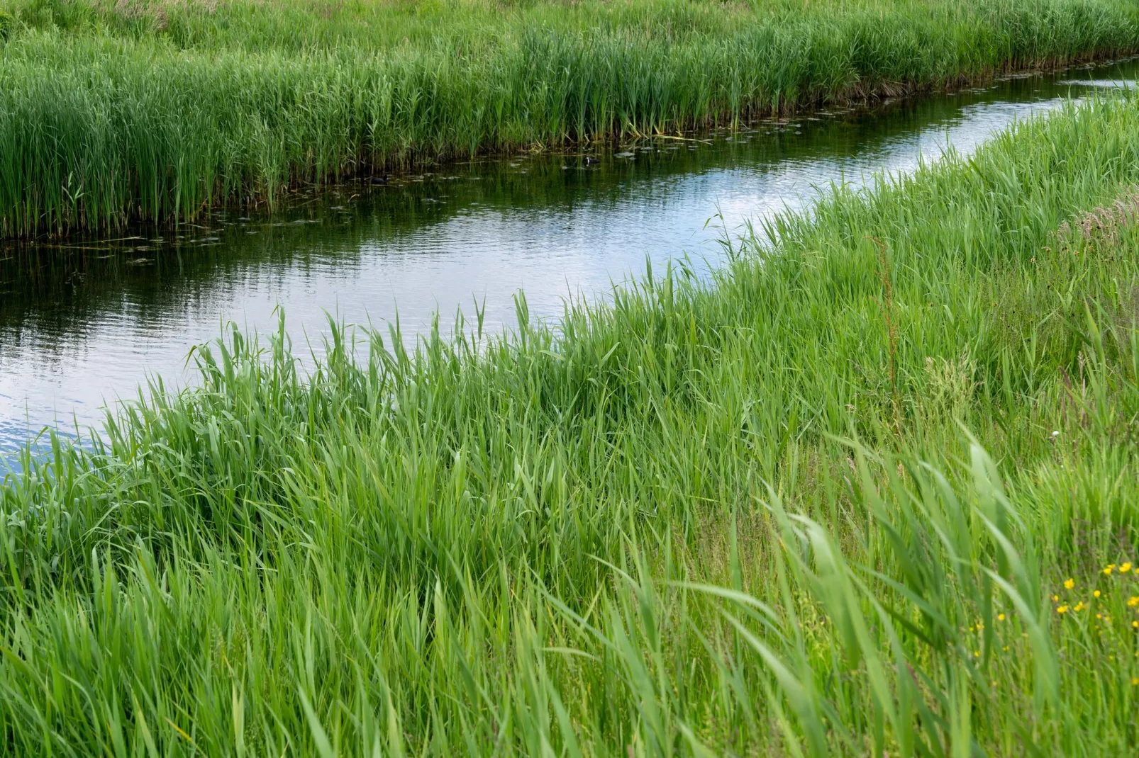 Wulpdal Huis Nr 51-Gebieden zomer 1km