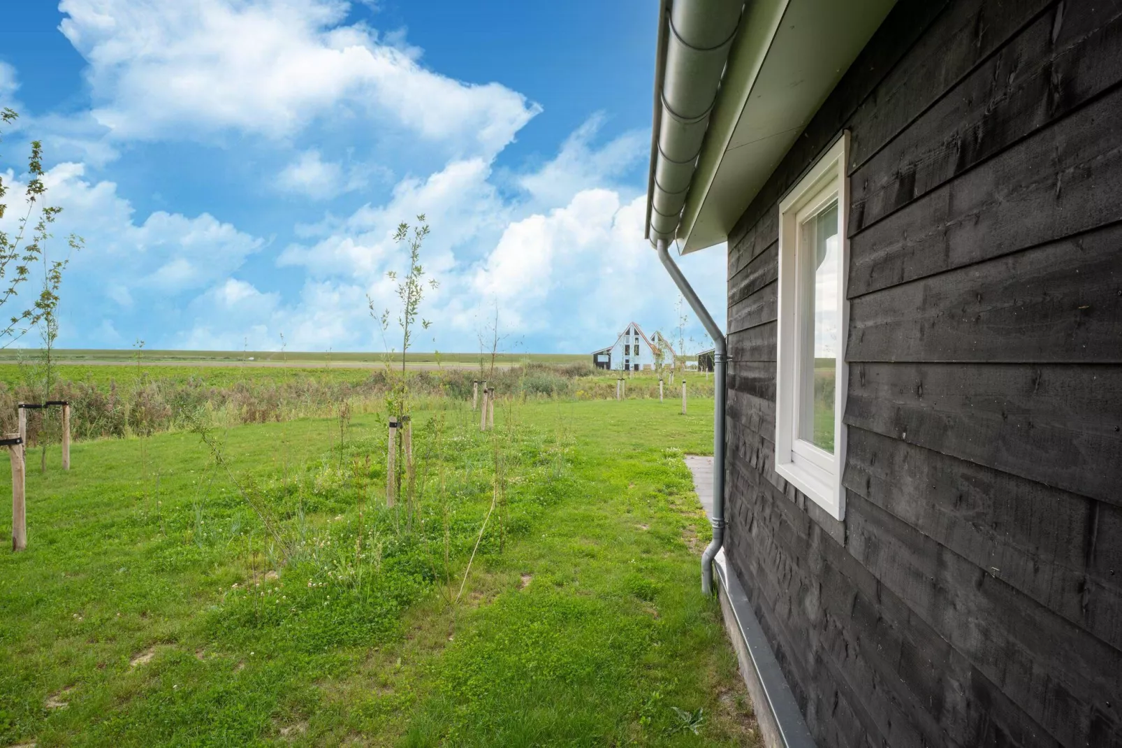 De Kluut Huis Nr 12-Uitzicht zomer