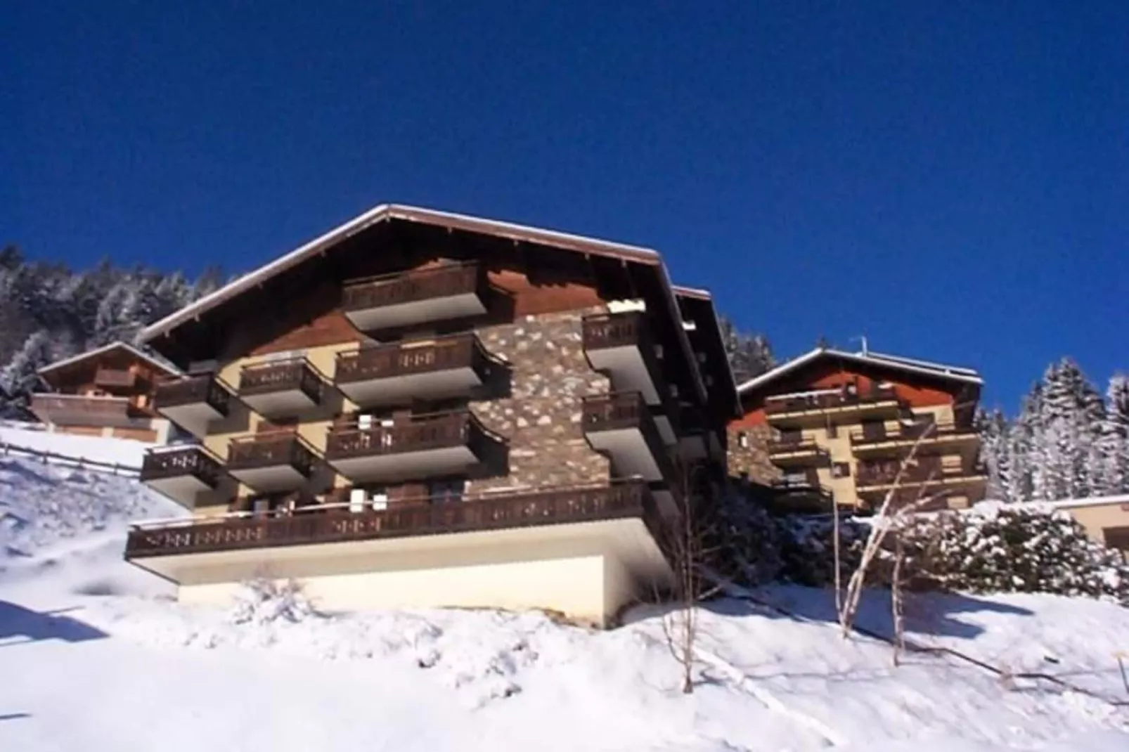 Résidence Le Yeti-Buitenkant zomer