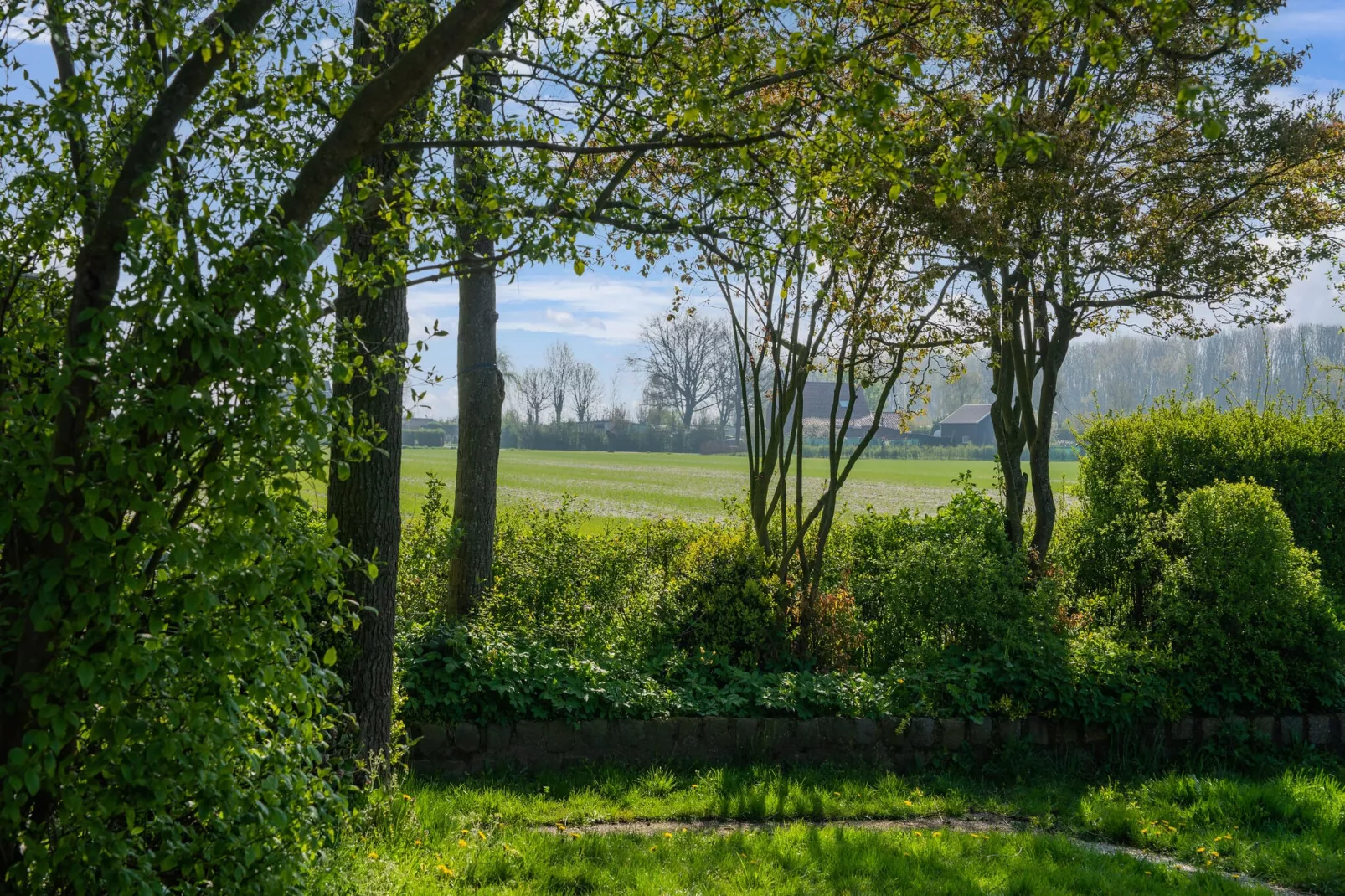 De Tjiftjaf Huis Nr 21-Uitzicht zomer