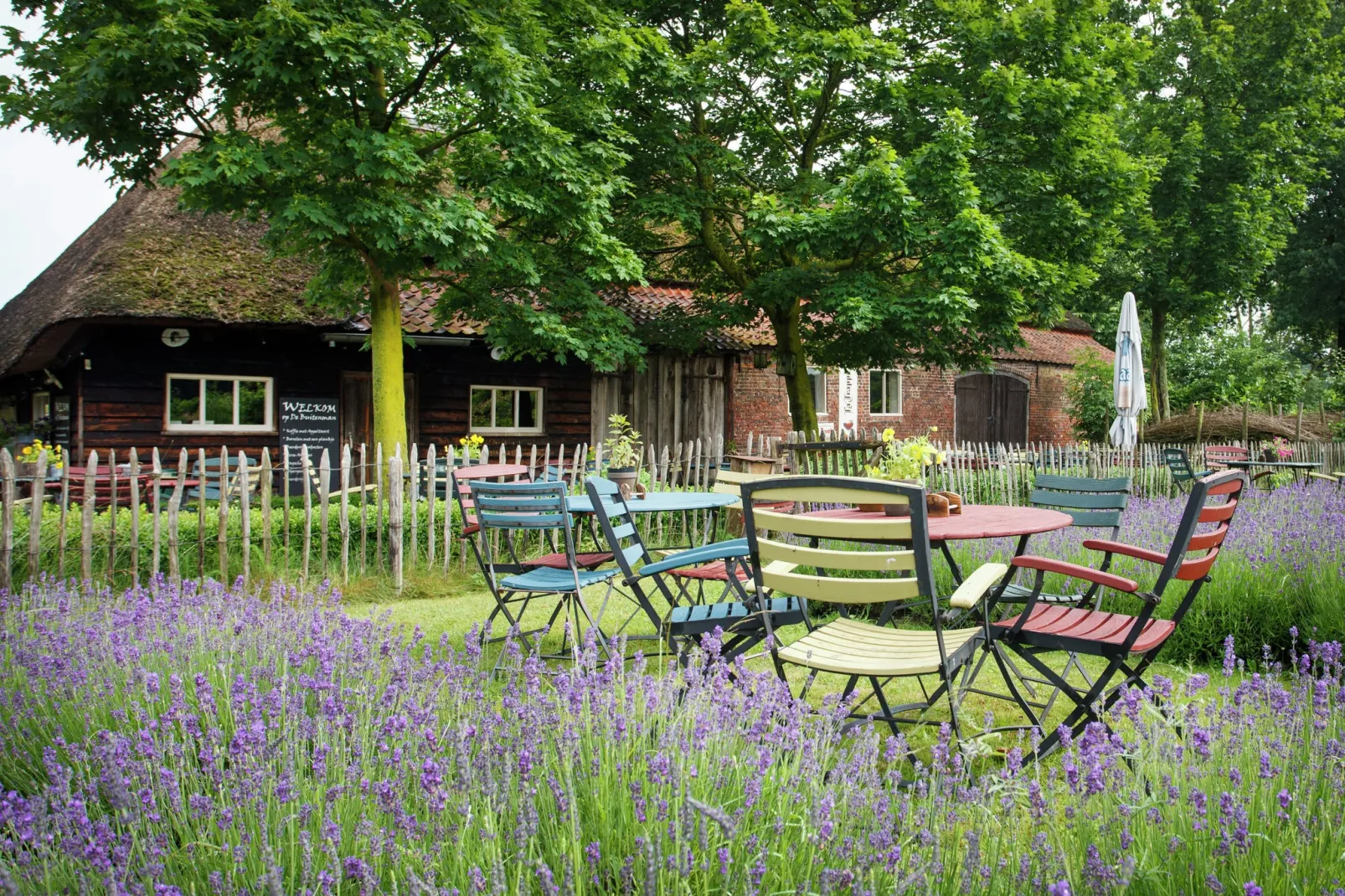 Landhoeve buitenman-Tuinen zomer