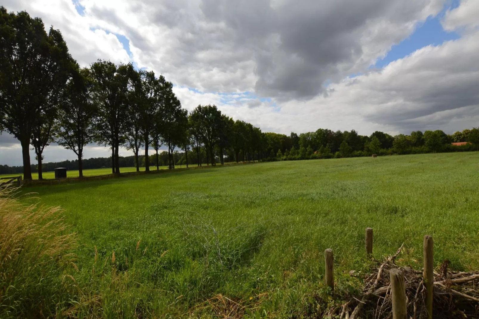 Landhoeve buitenman-Gebieden zomer 1km