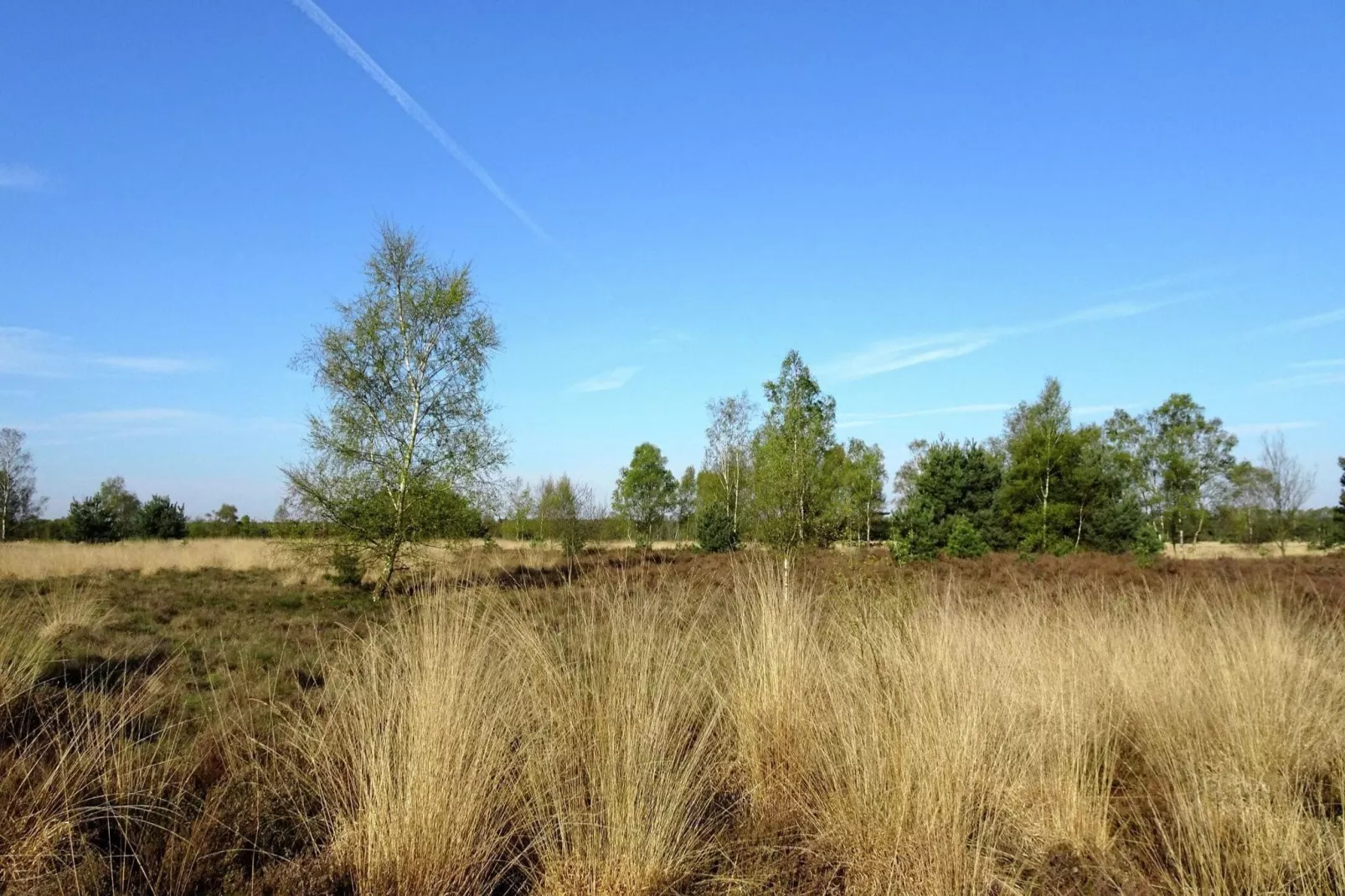 Landhoeve buitenman-Gebieden zomer 5km