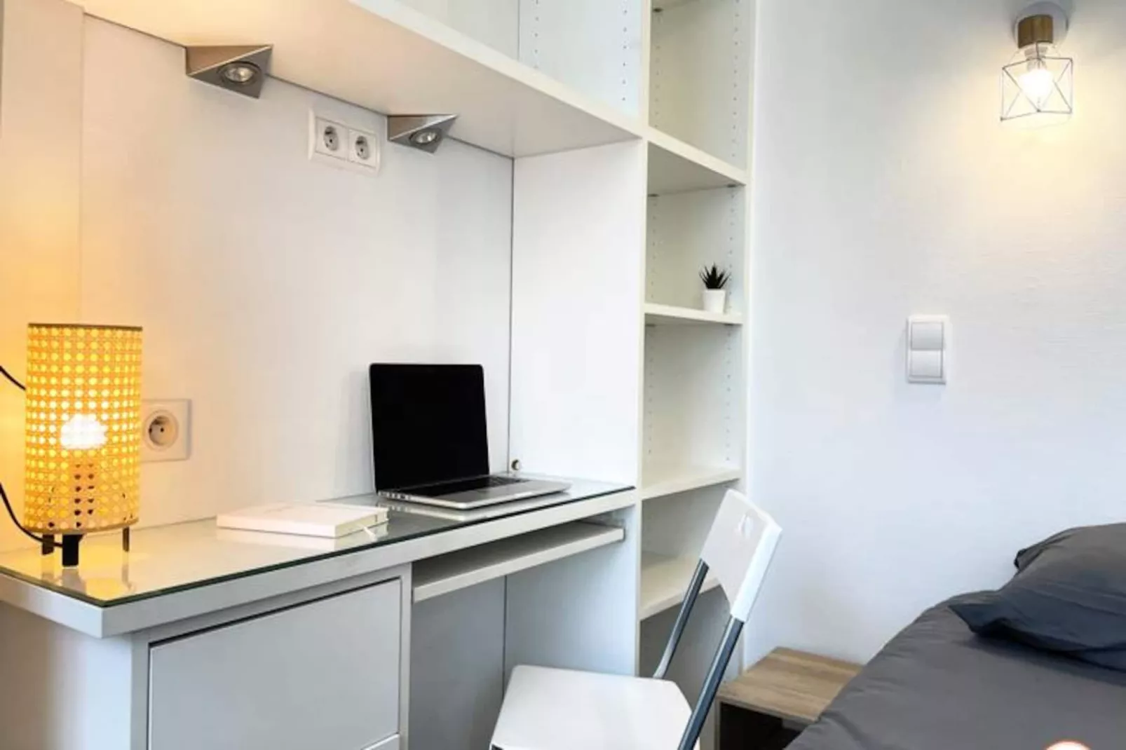 ✨ Le Palais Des Glaces - Hypercentre - Port-Image-tags.