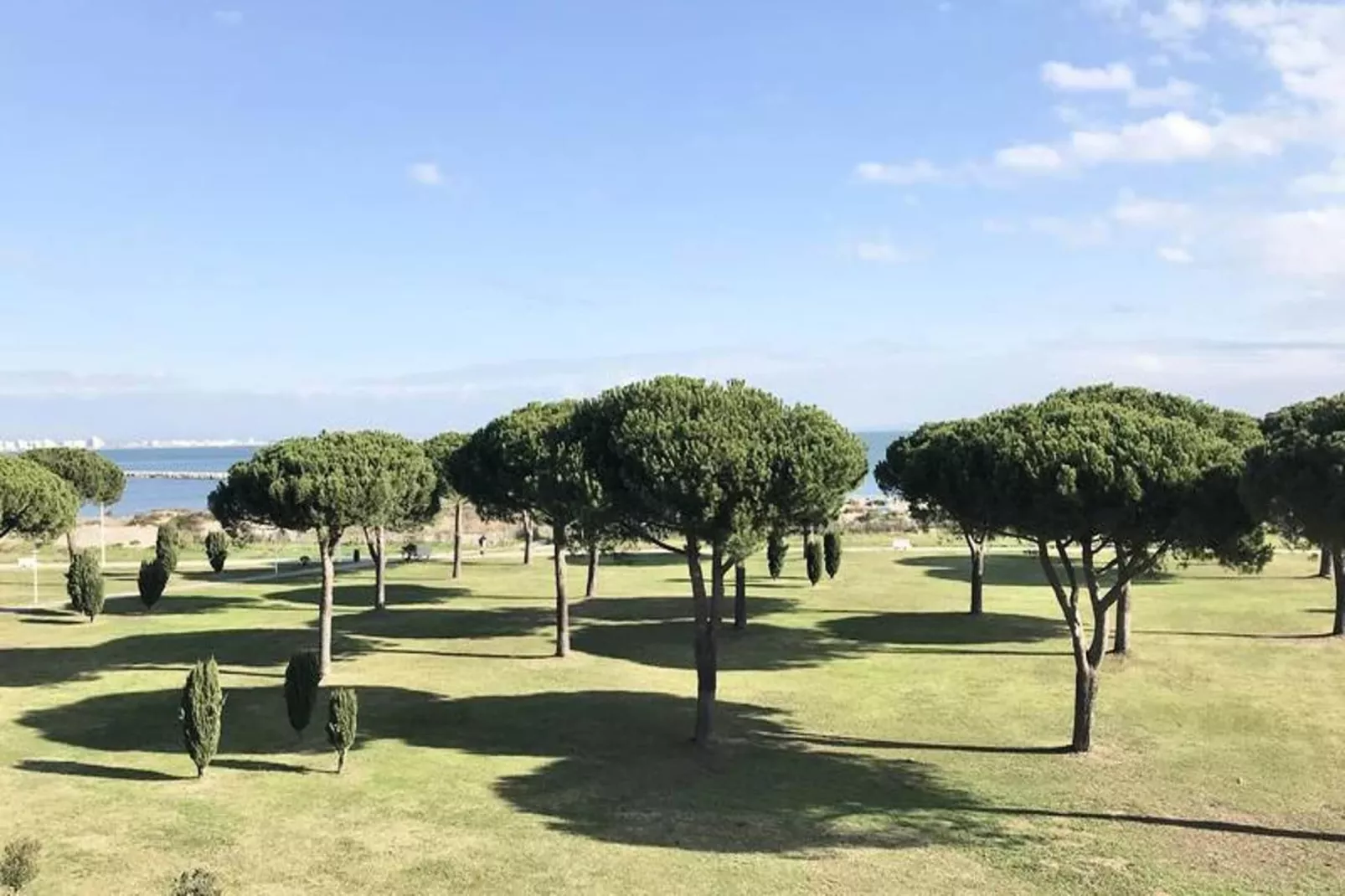 Résidence "le Mireille"-Tuinen zomer