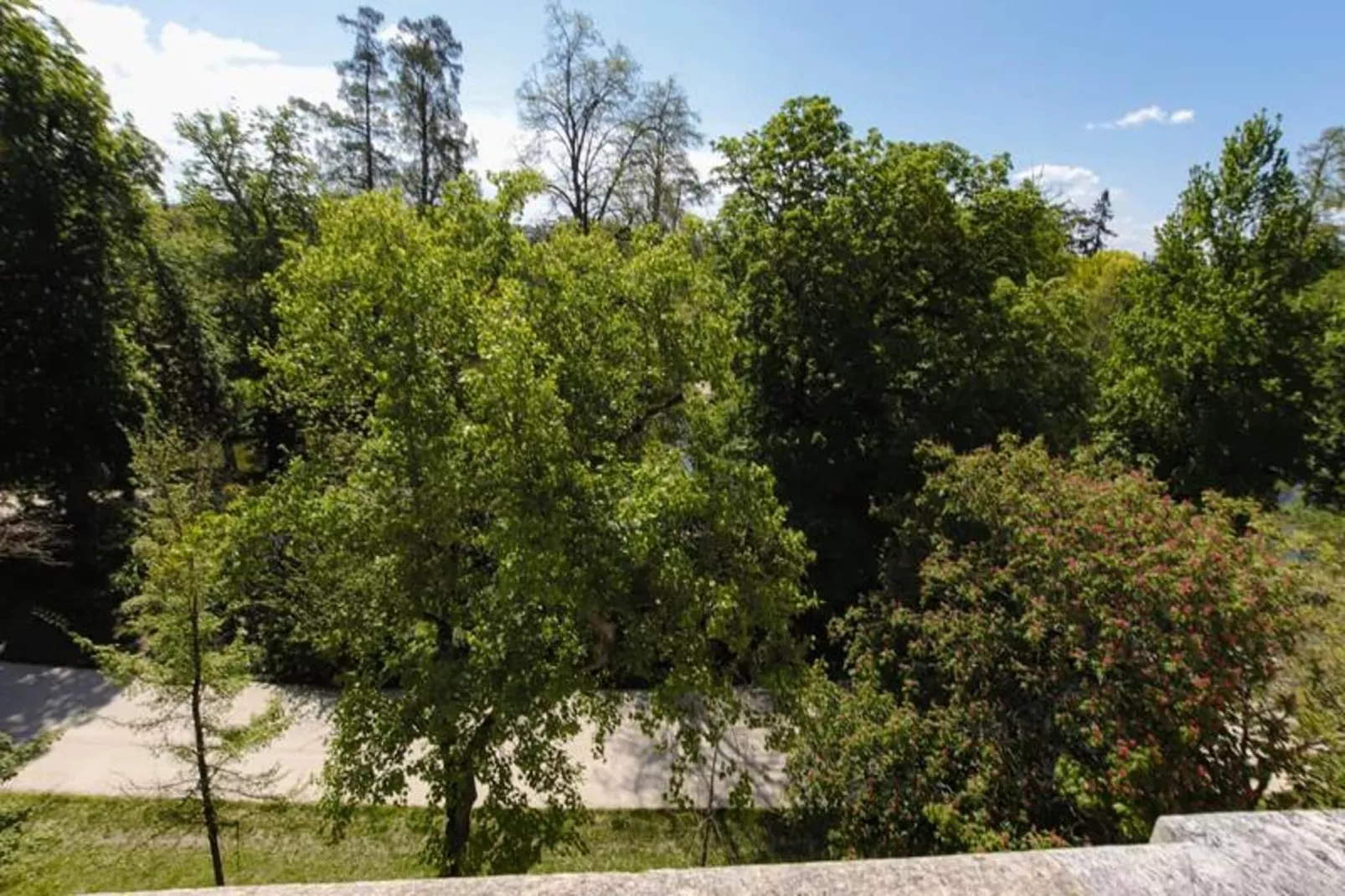 Maison Labruy&egrave;re - Suite Cosy Jardin-Buitenkant zomer