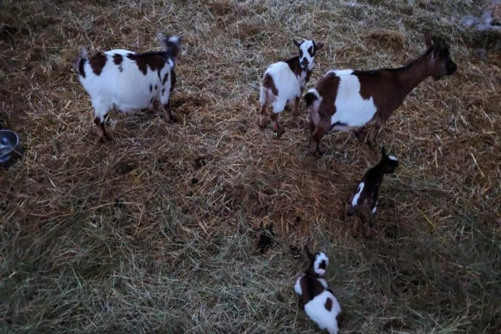 Gîte de France Gîte " la prairie" 4 épis-Image-tags.