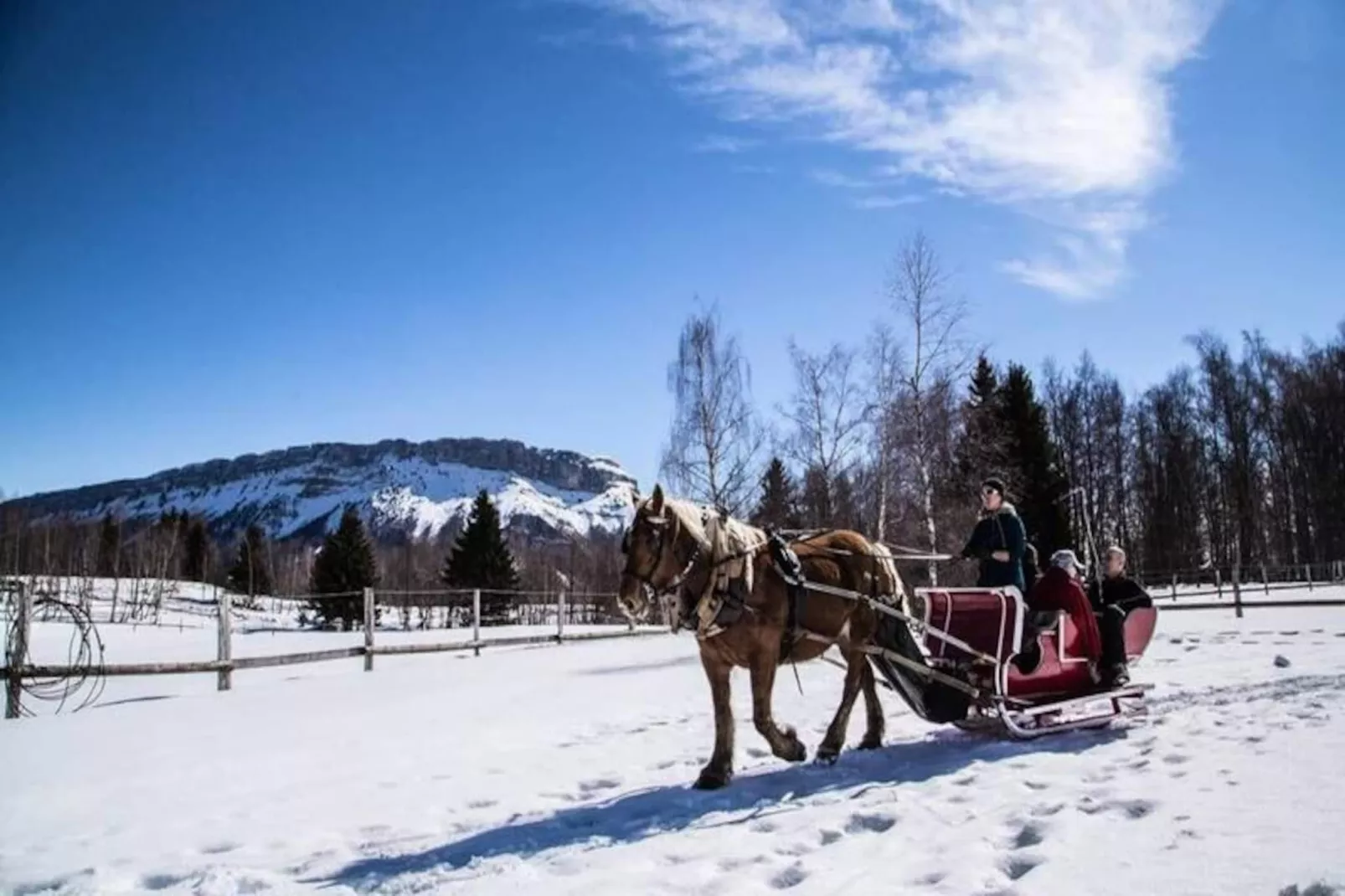 Appartement Familial Au Pied Des Pistes-Image-tags.