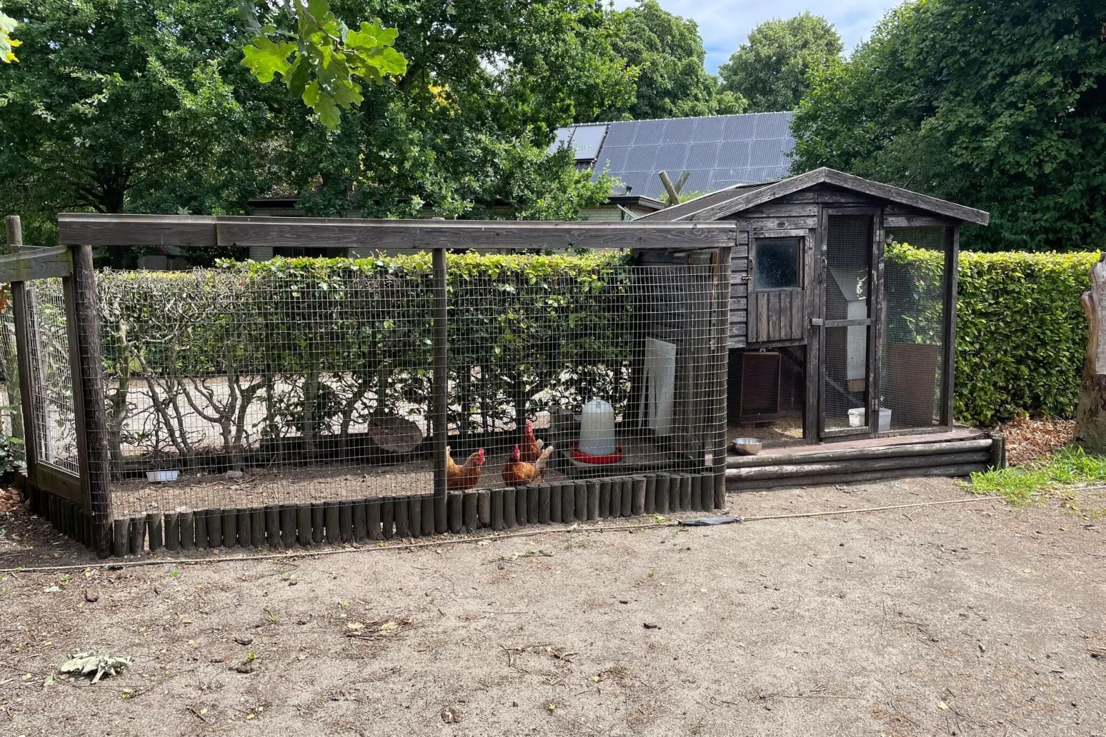 Zonnedauw-Faciliteiten