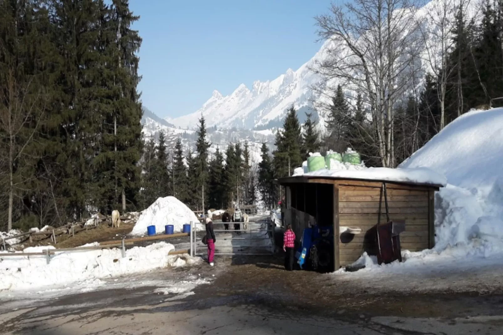 Résidence Les Cimes*****-Gebied winter 5km