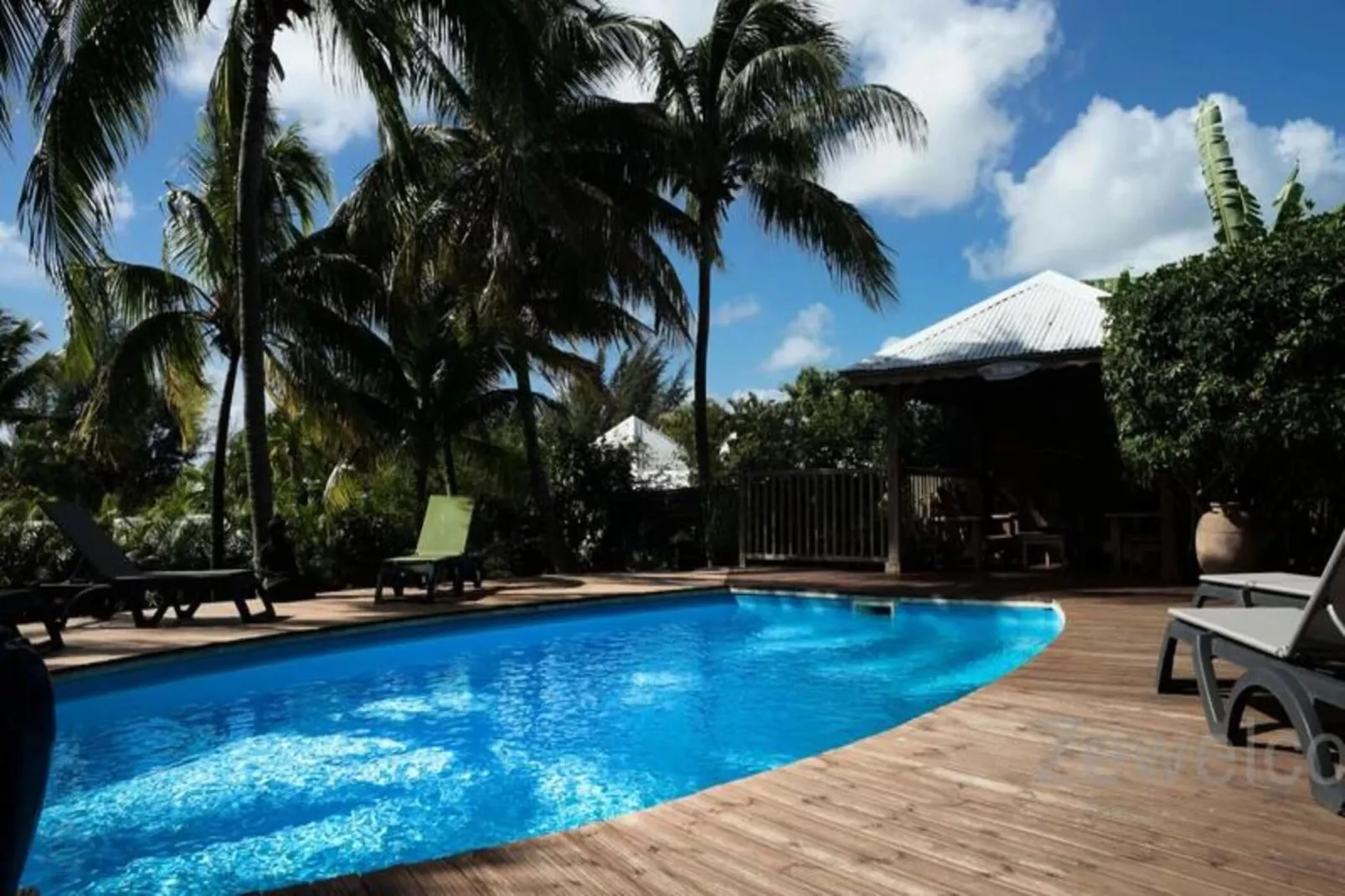 Bungalow Palm-Buitenkant zomer