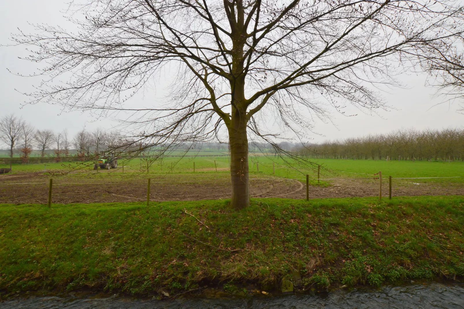 Meschermolen 13-Uitzicht zomer