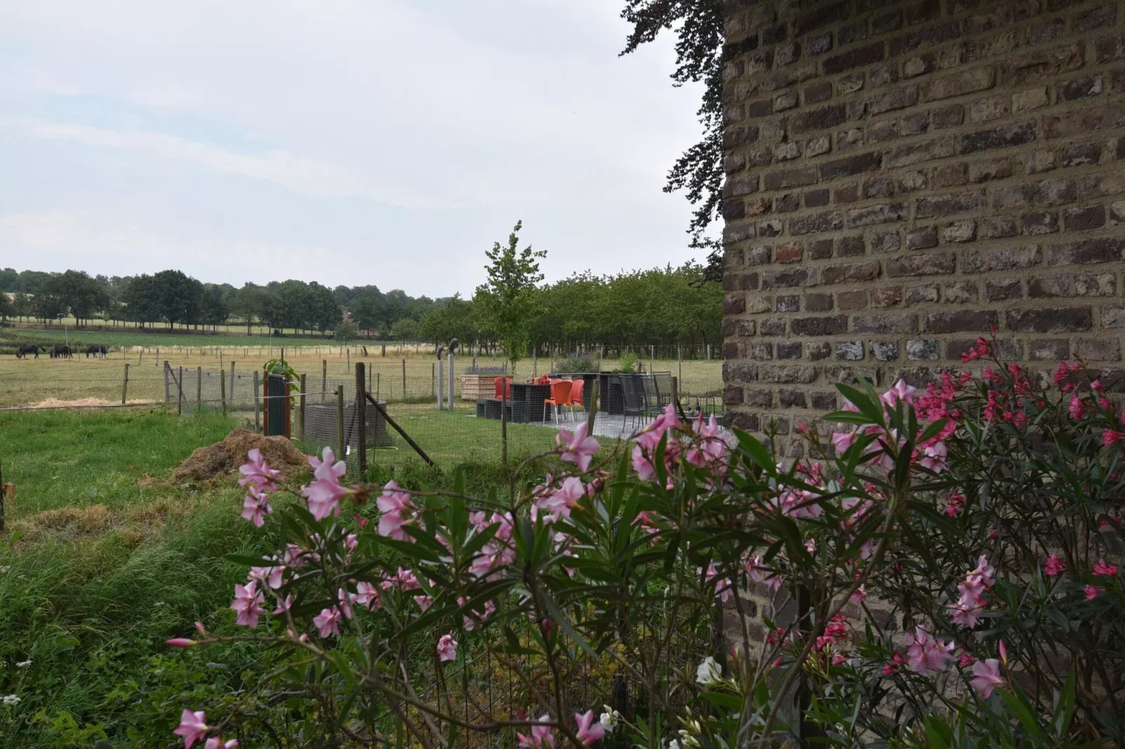 Meschermolen 14-Uitzicht zomer