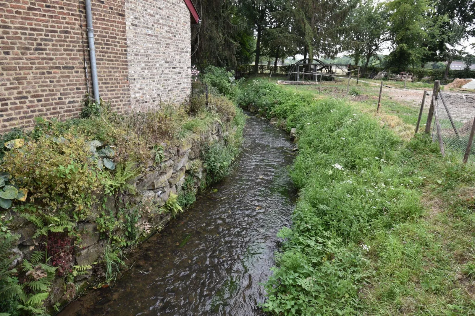 Meschermolen 14-Gebieden zomer 1km