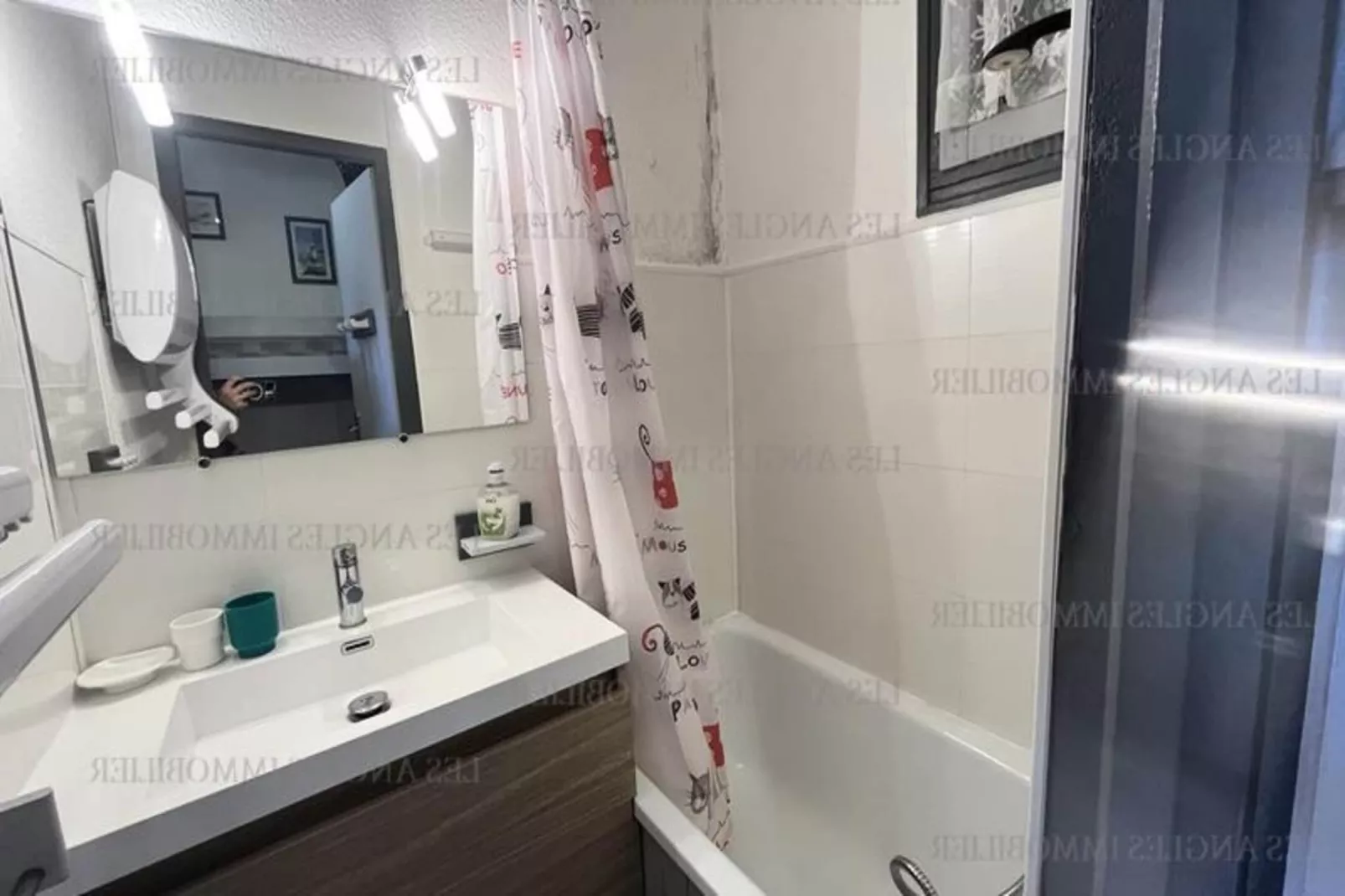 Résidence Les Mouflons-Buitenkant zomer