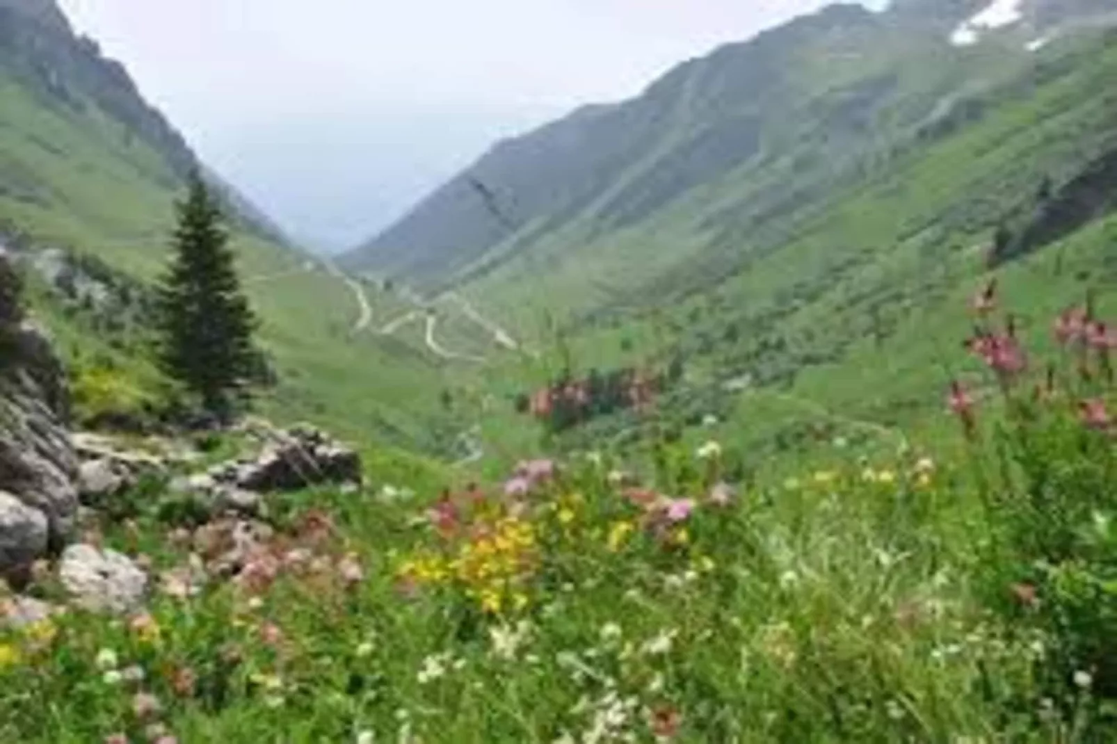 Résidence Les Hameaux Ii-Gebied winter 5km