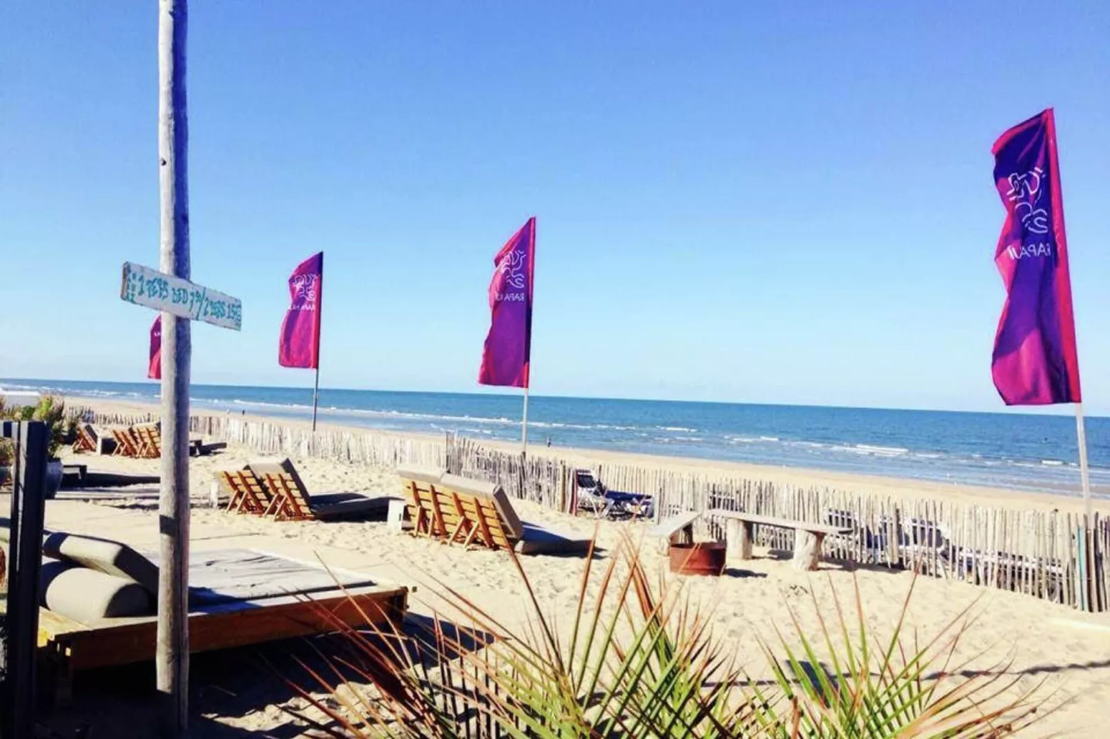 Sea Lodges Bloemendaal 1-Gebieden zomer 1km