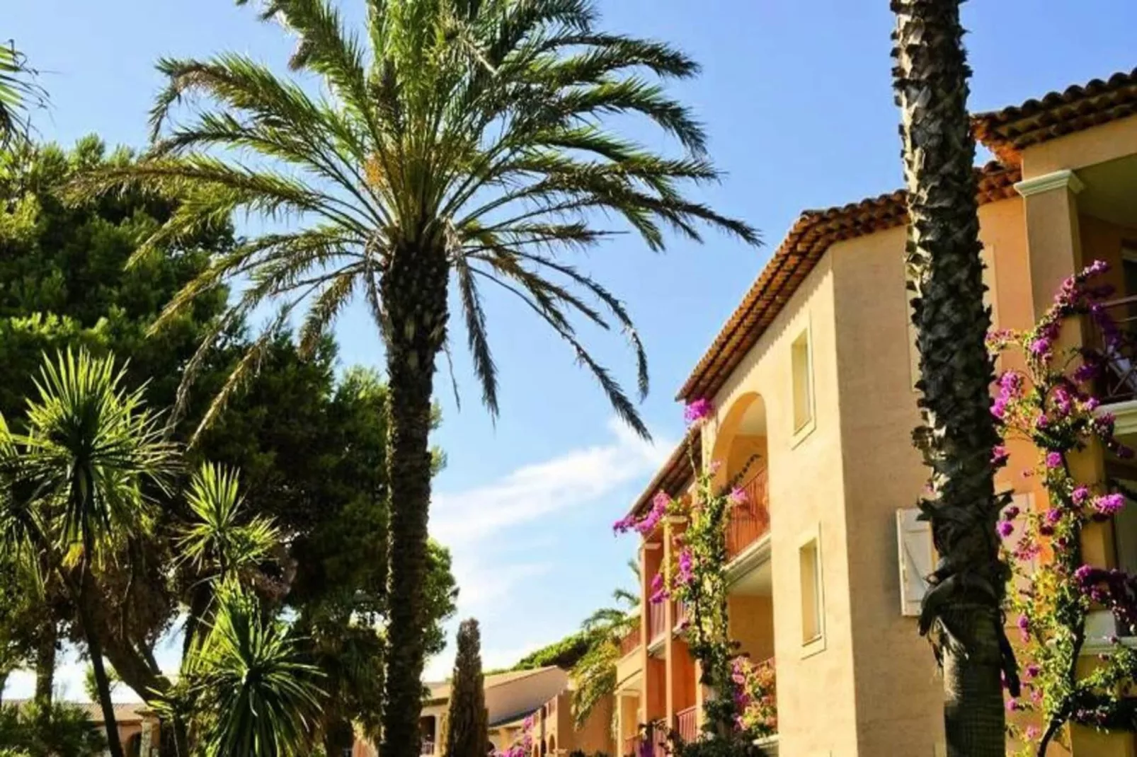 Résidence La Pinède - maeva Home-Gebieden zomer 1km