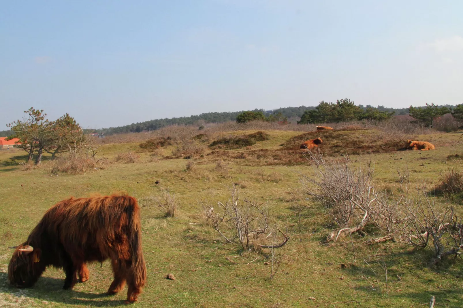 Sea Lodges Bloemendaal 1-Gebieden zomer 5km