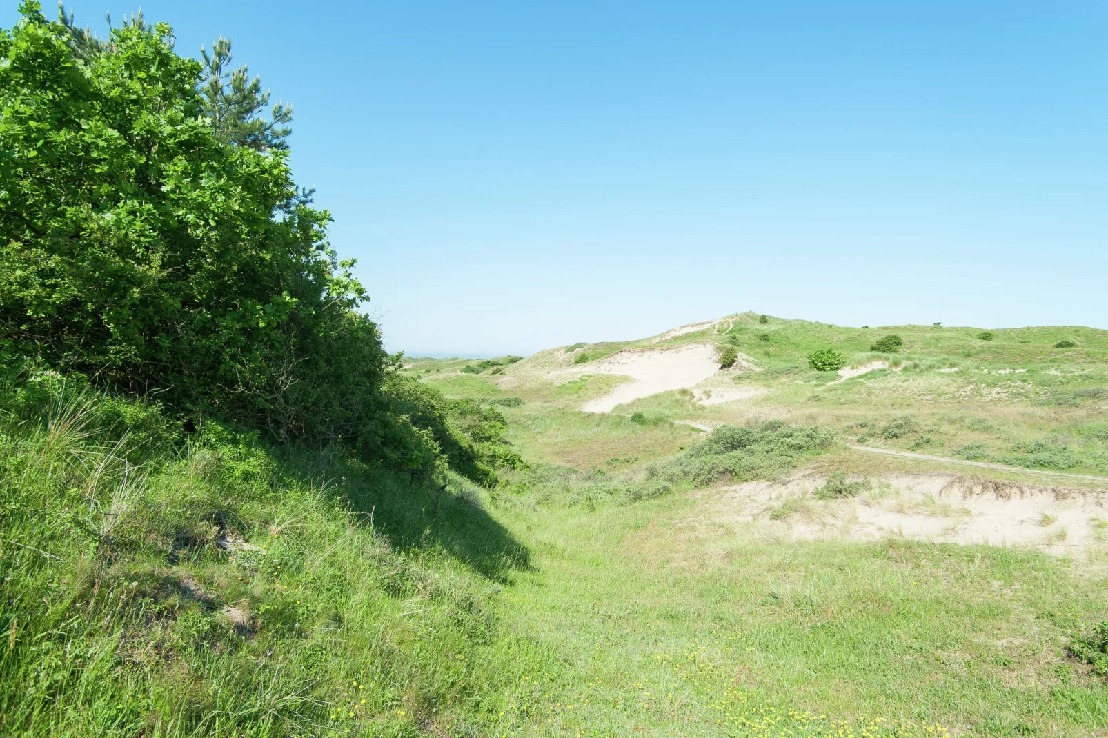 Sea Lodges Bloemendaal 1-Gebieden zomer 20km