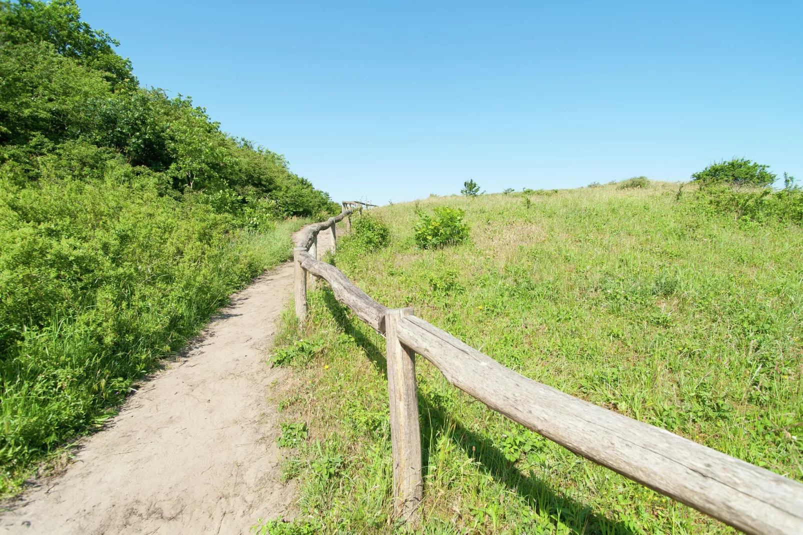 Sea Lodges Bloemendaal 1-Gebieden zomer 20km