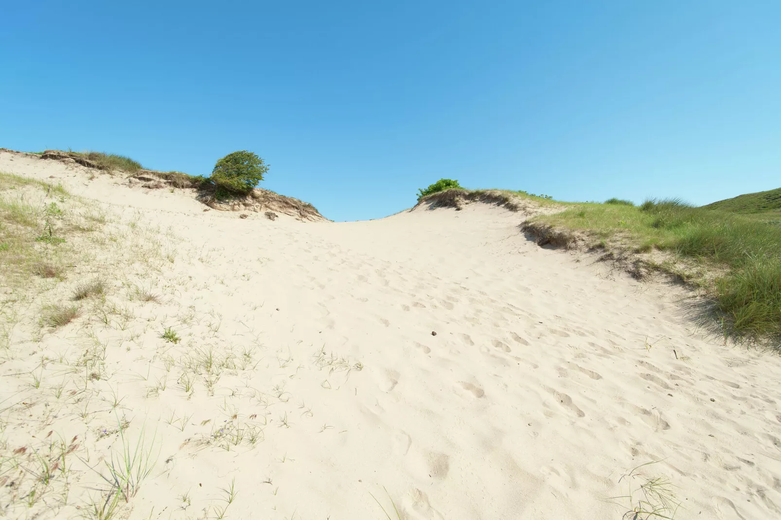 Sea Lodges Bloemendaal 1-Gebieden zomer 20km