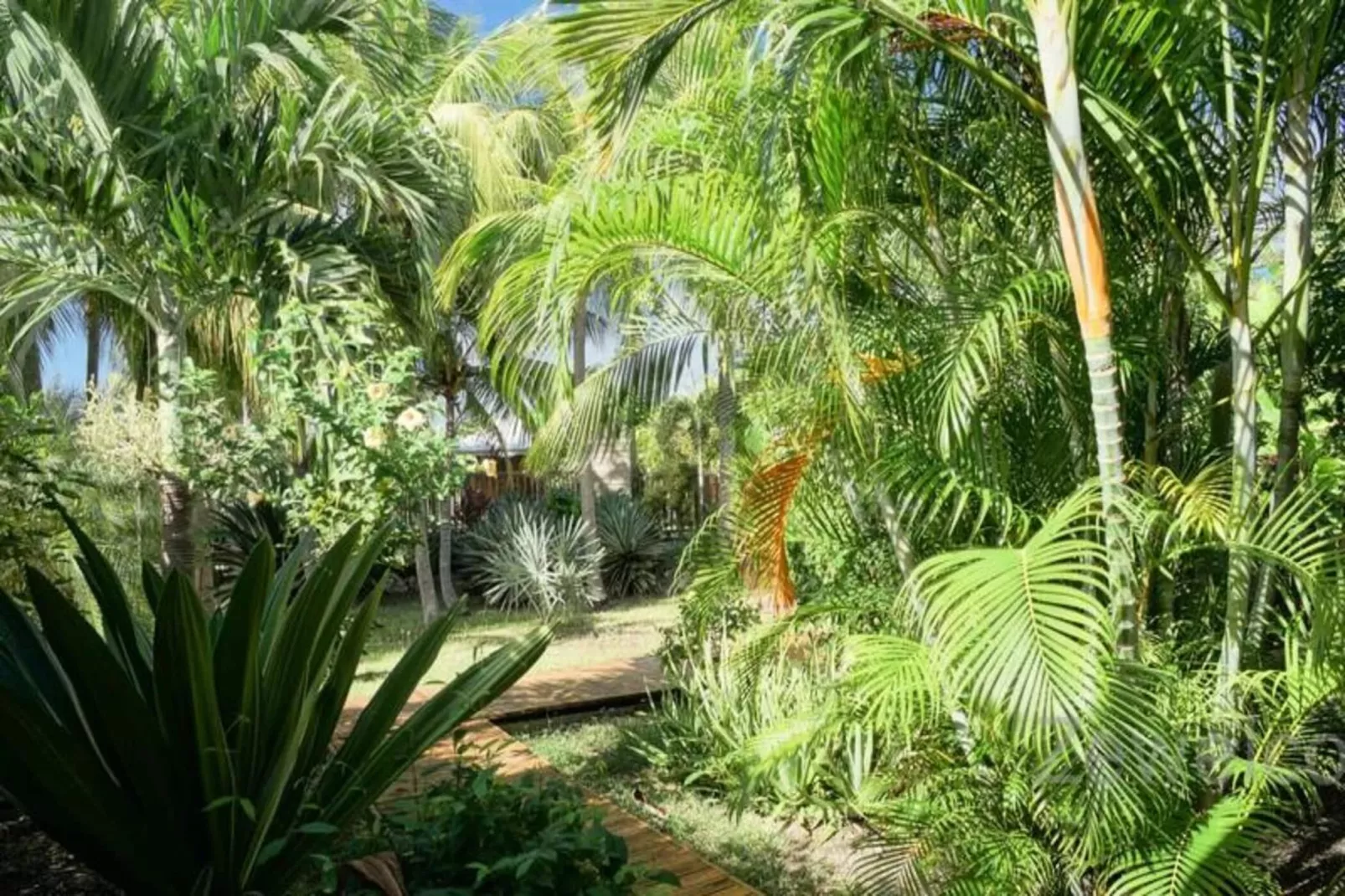 Bungalow Physalis-Tuinen zomer